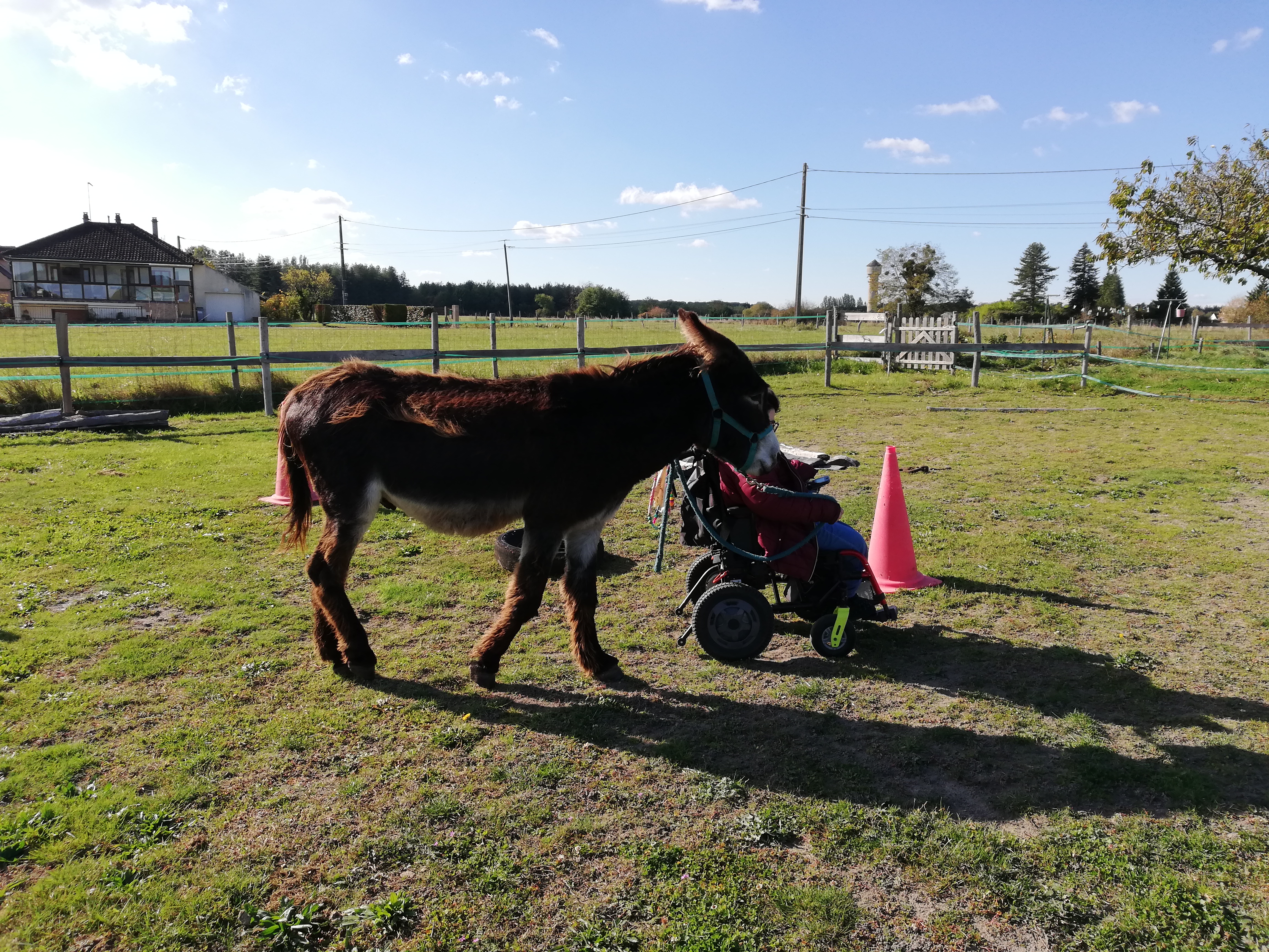 Atelier Petit fermier pour l'enfant différent, Ingrannes - photo 2