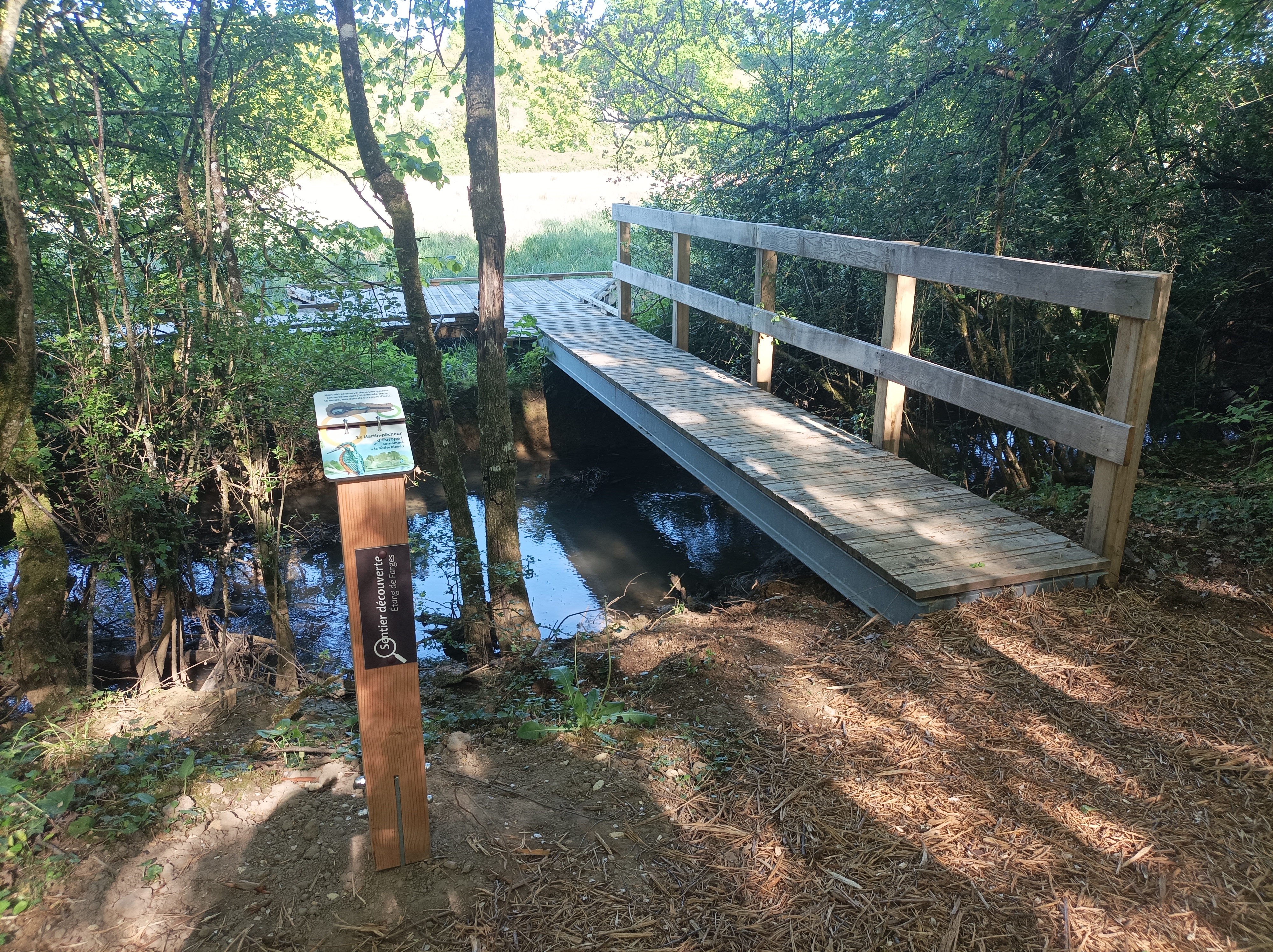 Aire Naturelle de l'Etang de Farges, Menetou-Salon - photo 3