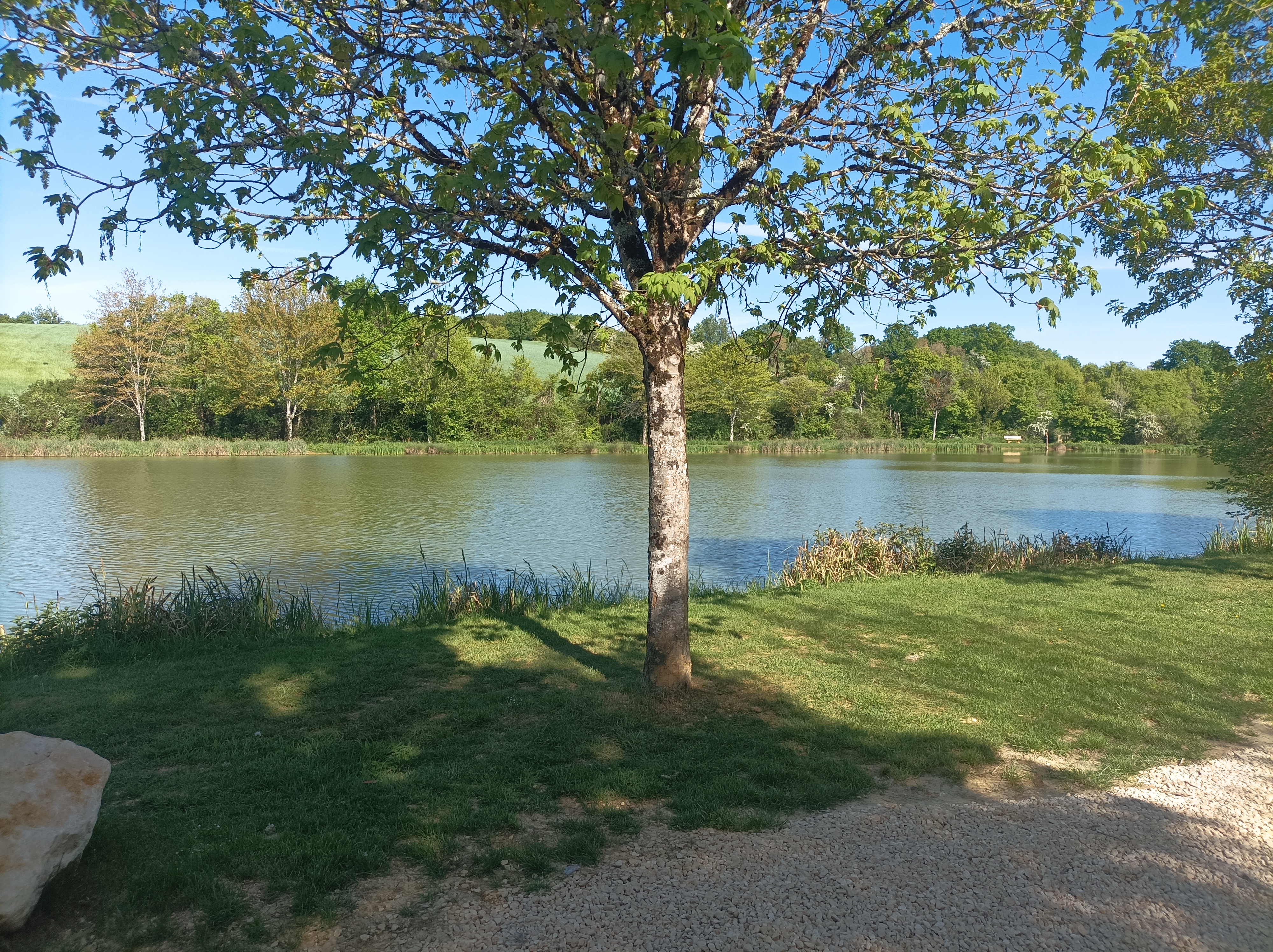 Aire Naturelle de l'Etang de Farges, Menetou-Salon - photo 7