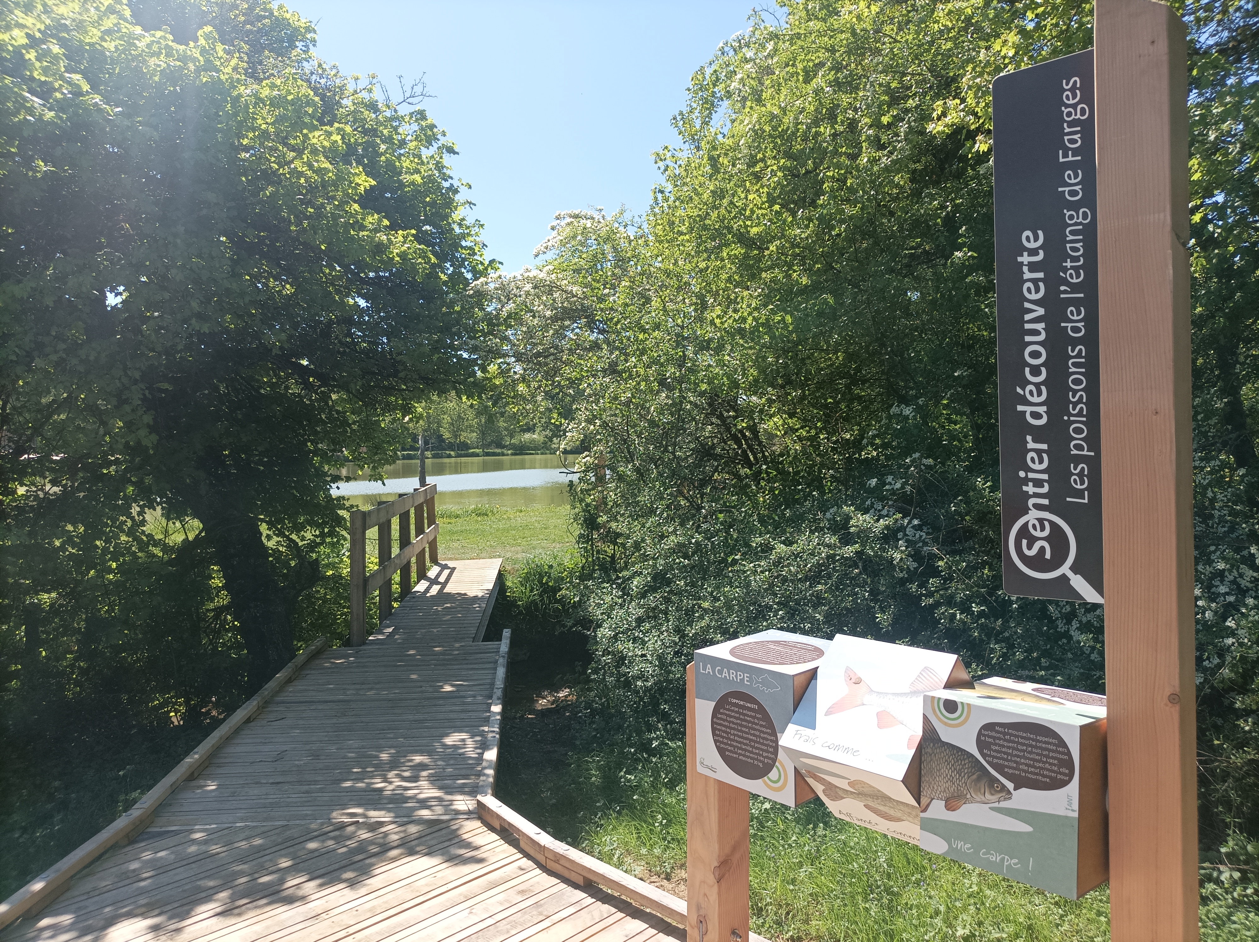 Aire Naturelle de l'Etang de Farges, Menetou-Salon - photo 10