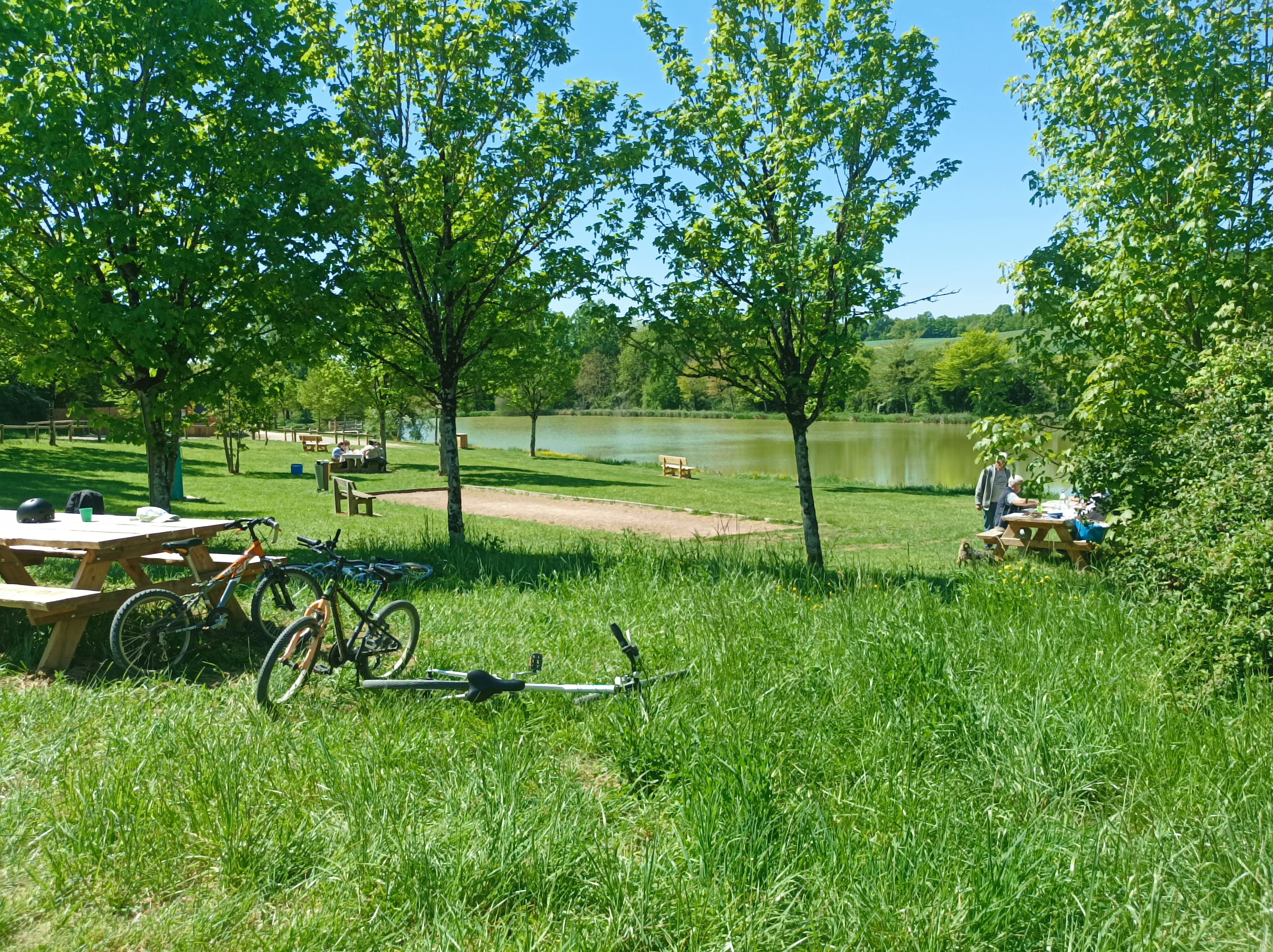 Aire Naturelle de l'Etang de Farges