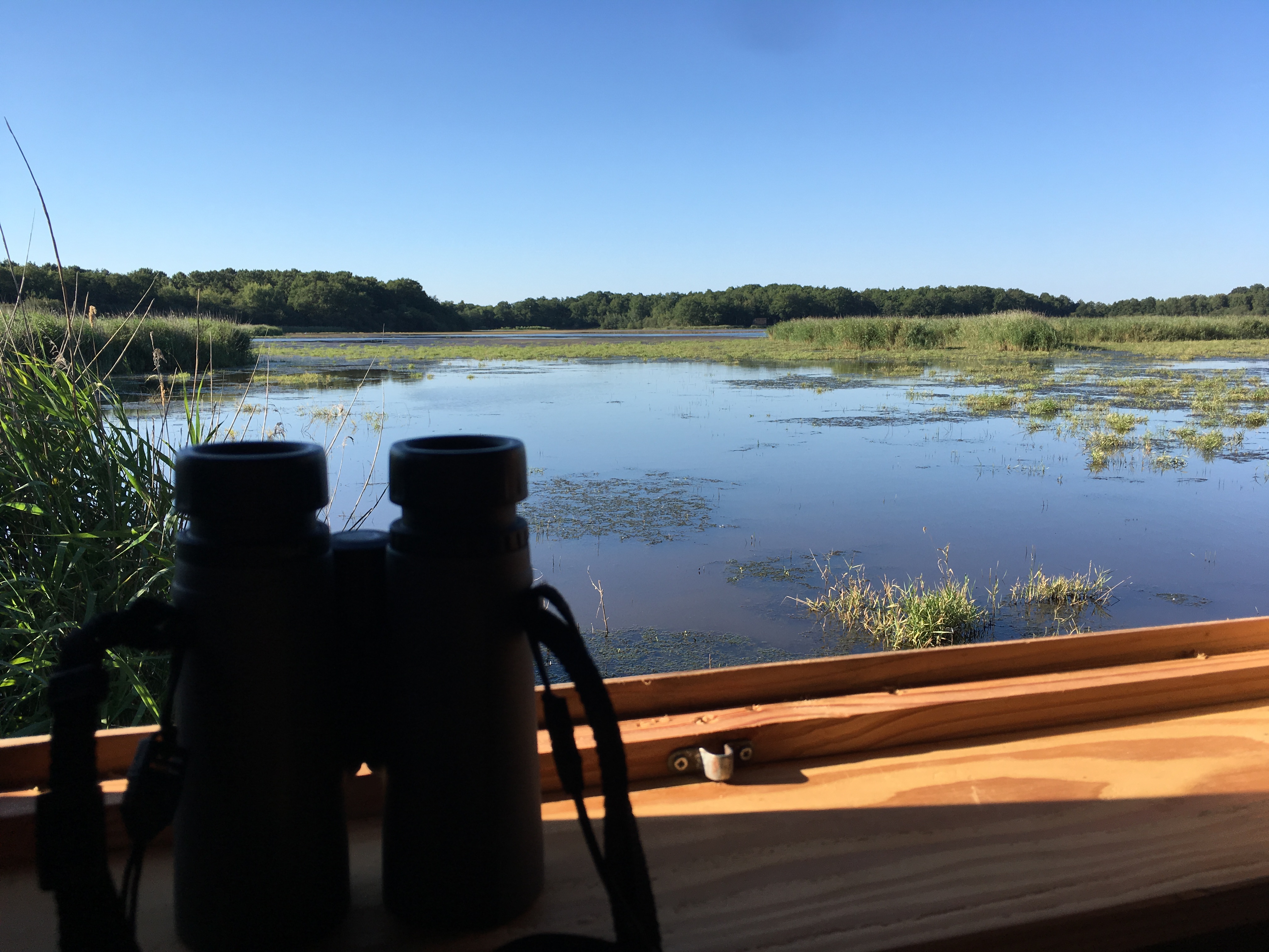 Réserve de chasse et de faune sauvage de Malzoné, Millançay - photo 8