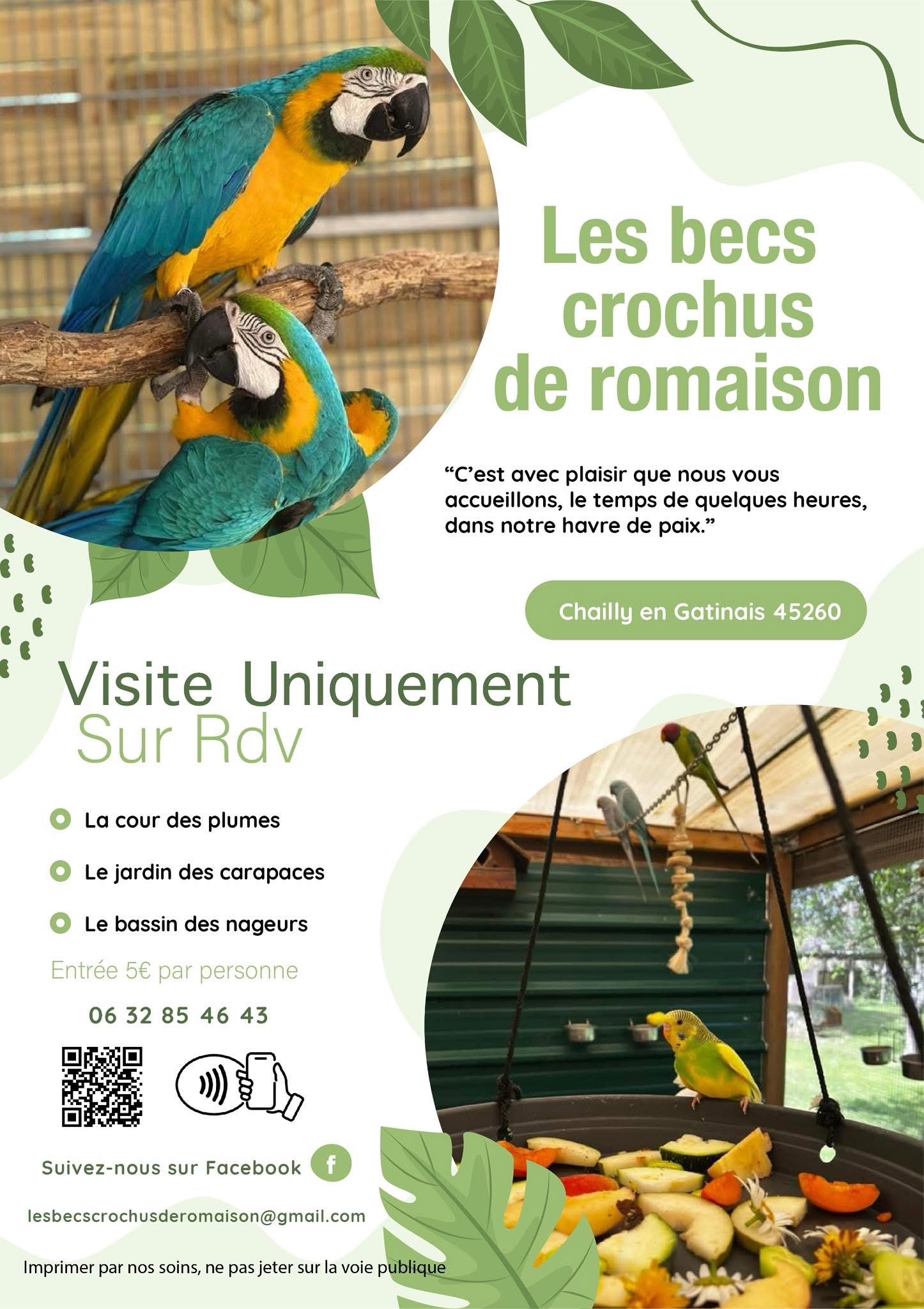 Les Becs crochus de romaison