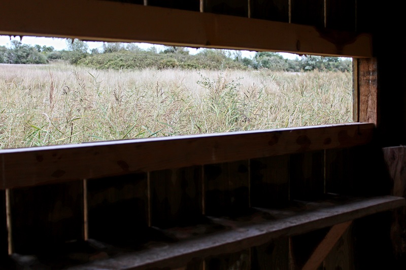Cabane "les Rondières", Saint-Michel-en-Brenne - photo 3