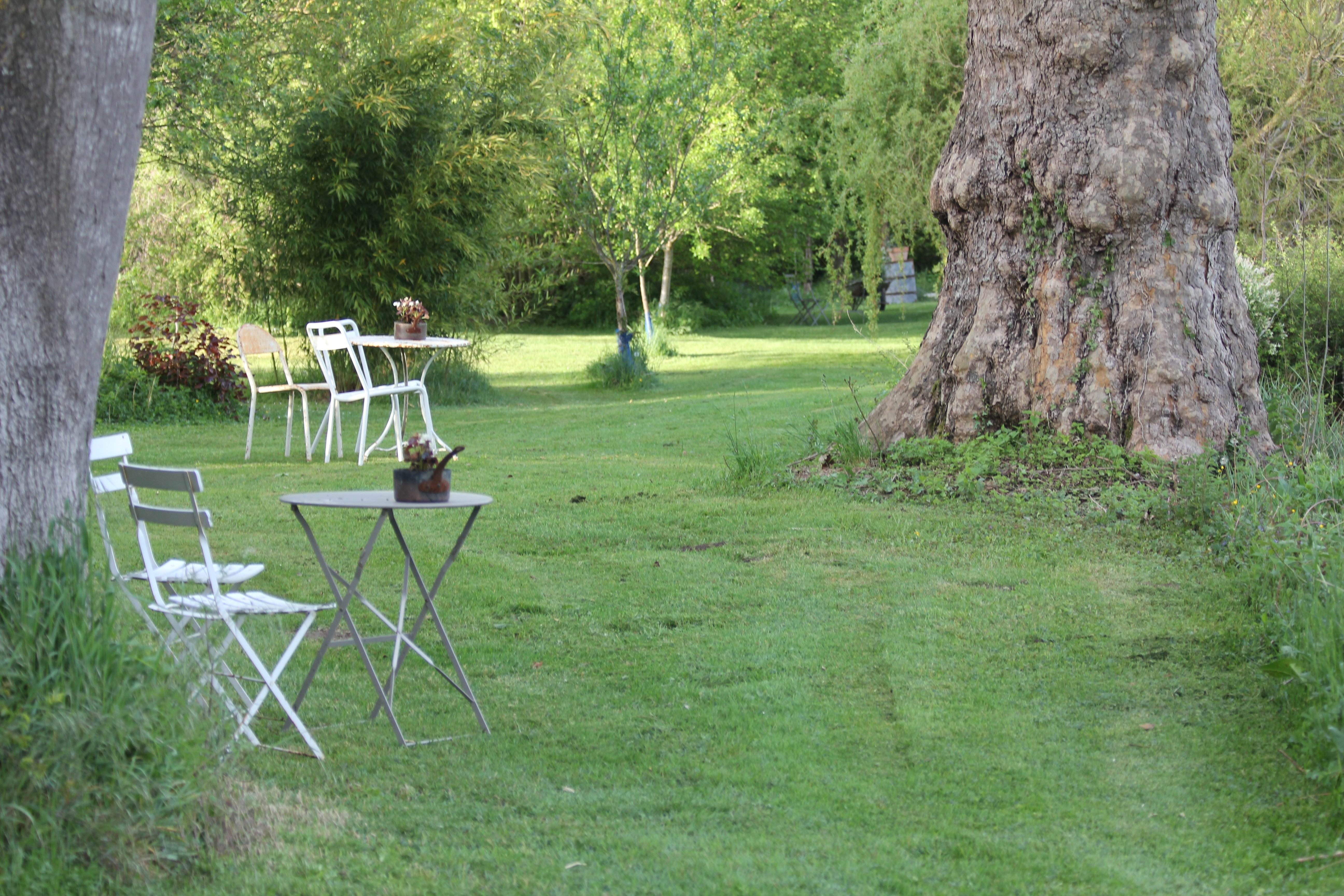 Une pause au Fusain, Sceaux-du-Gâtinais - photo 13