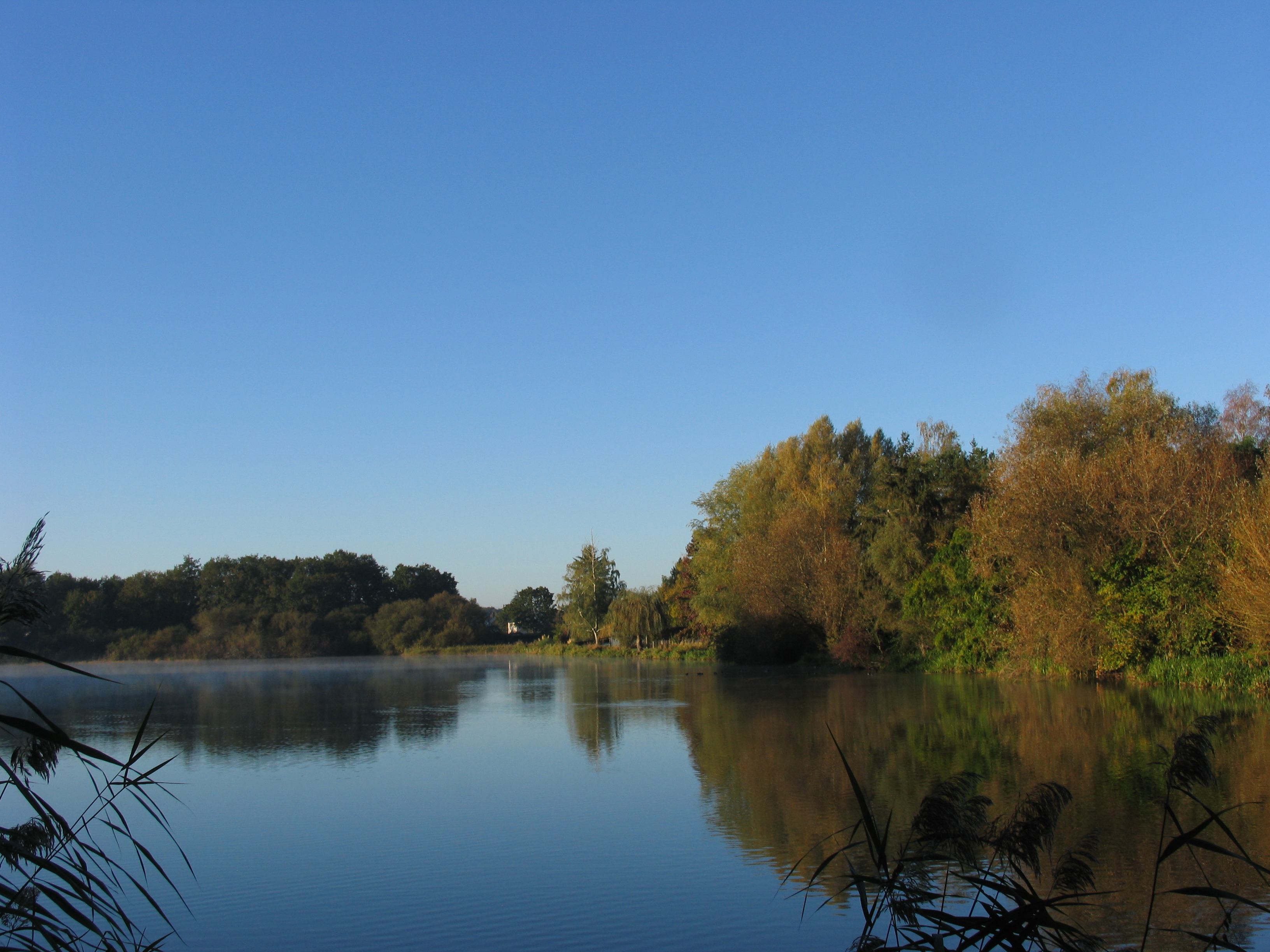 Maison des Etangs, Saint-Viâtre - photo 5