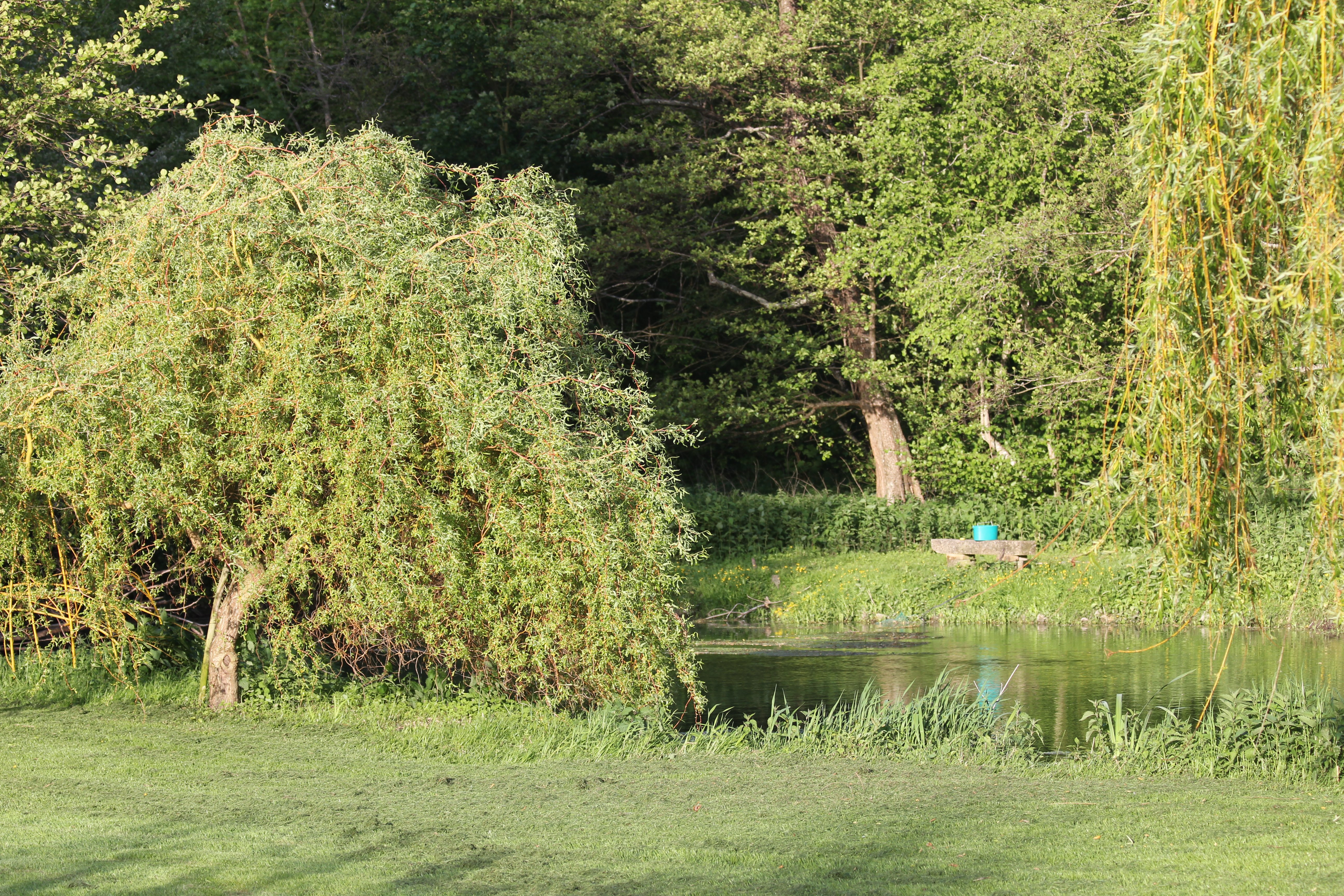 Une pause au Fusain, Sceaux-du-Gâtinais - photo 12