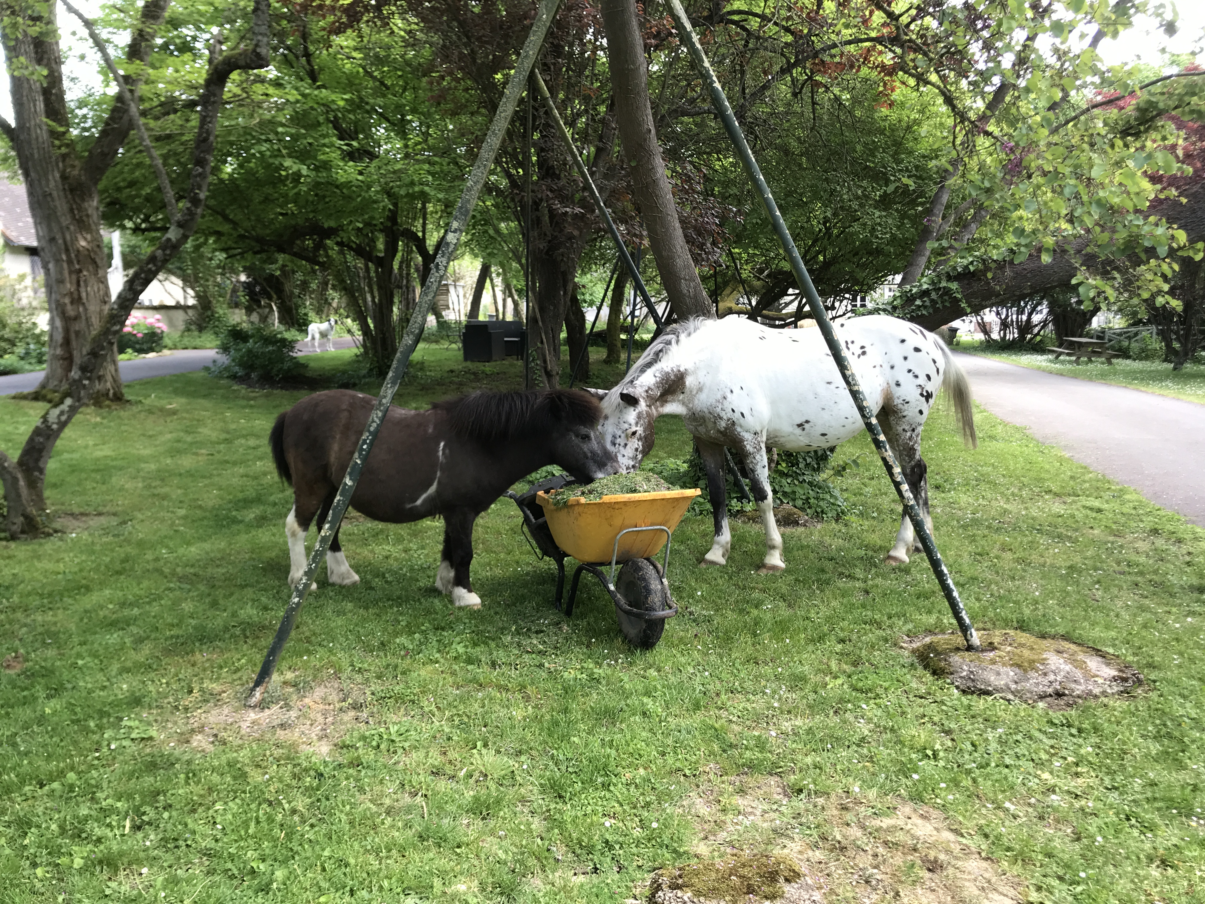 Le Parc du Vivier, Saint-Germain-du-Puy - photo 3