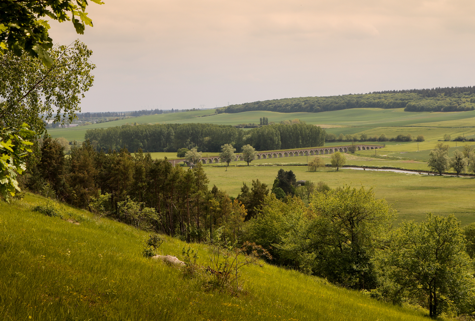 La Côte de Montreuil, Montreuil - photo 5
