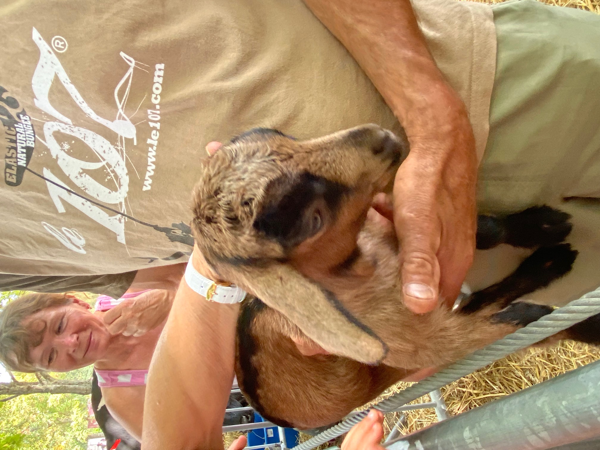 Foire aux bestiaux et à l'agriculture locale