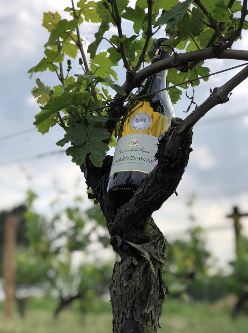 Domaine de la renne — photo 3