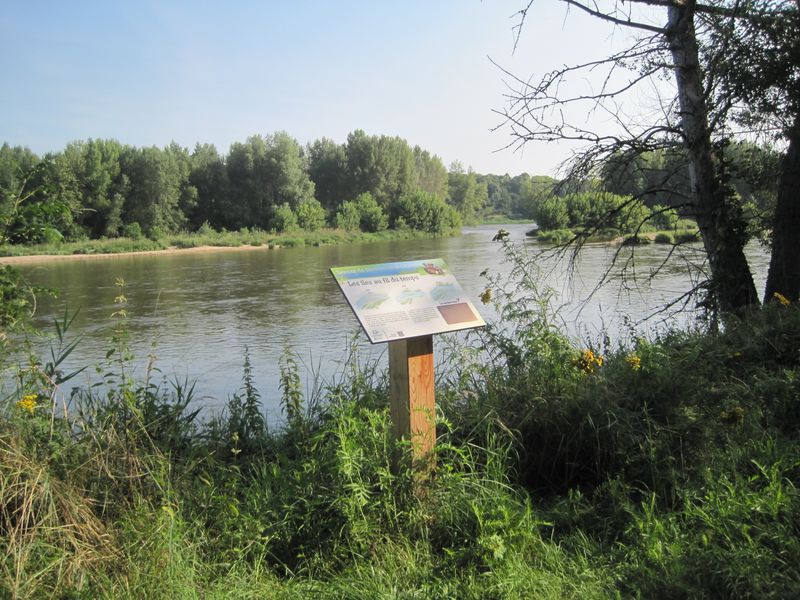 Sentier de découverte des Isles, Mareau-aux-Prés - photo 3