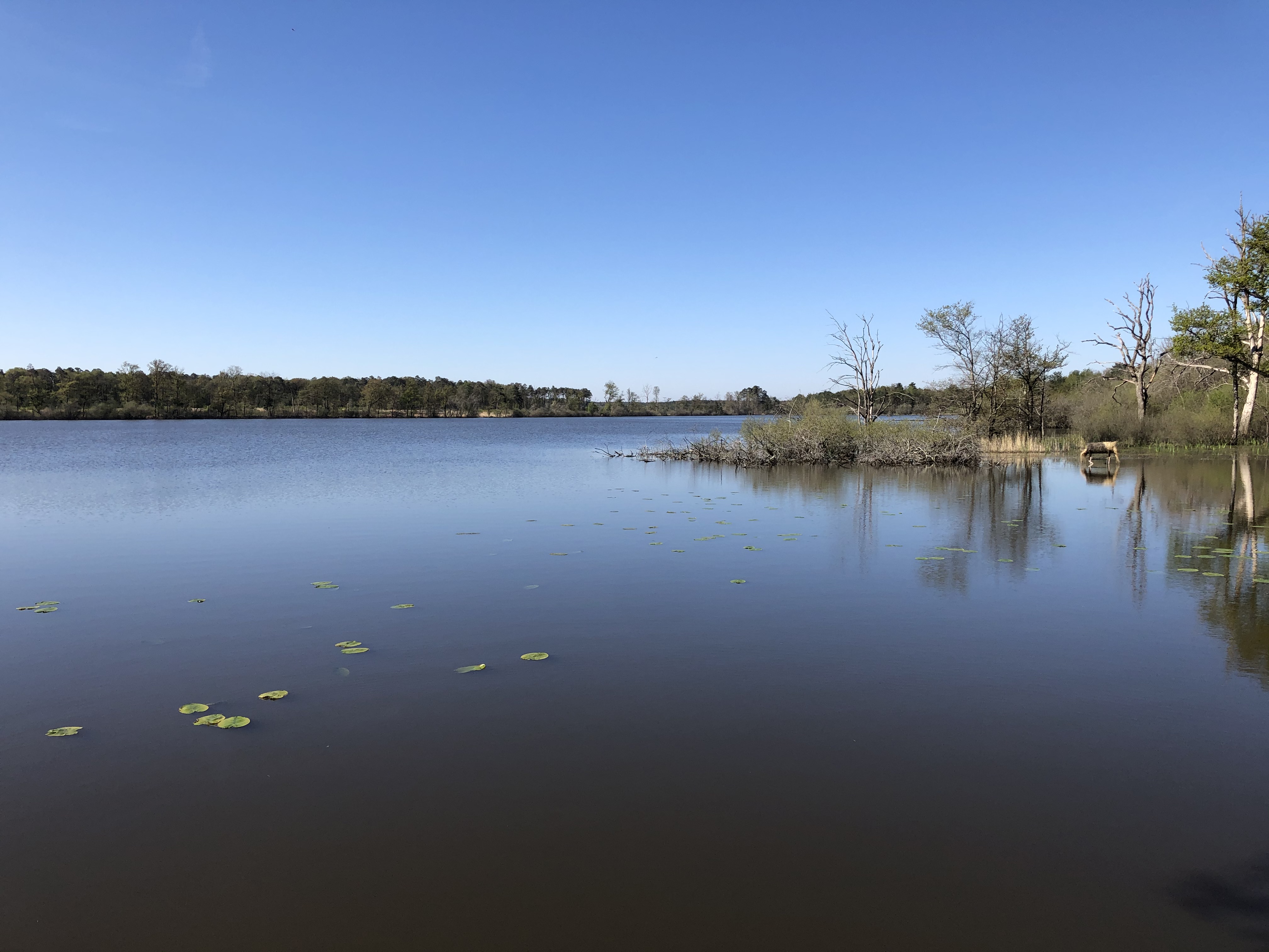 Espace naturel sensible de l'étang de la Noue Mazone  France Île-de-France Seine-et-Marne Châtenoy 77167
