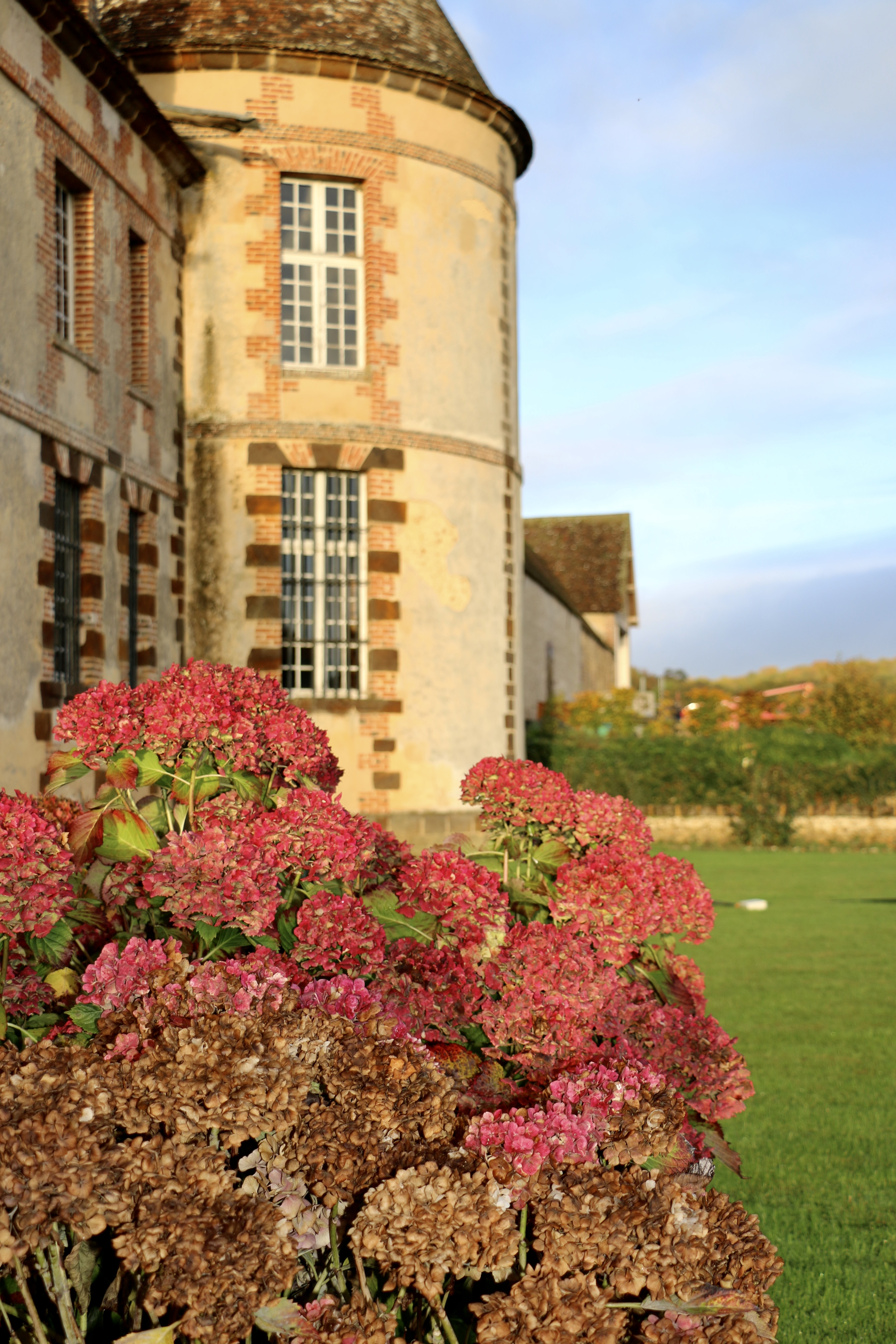 Château de La Rivière, Pontgouin - photo 9