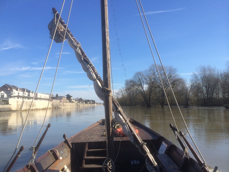Balade en bateau sur la Loire à bord de la Sterne©