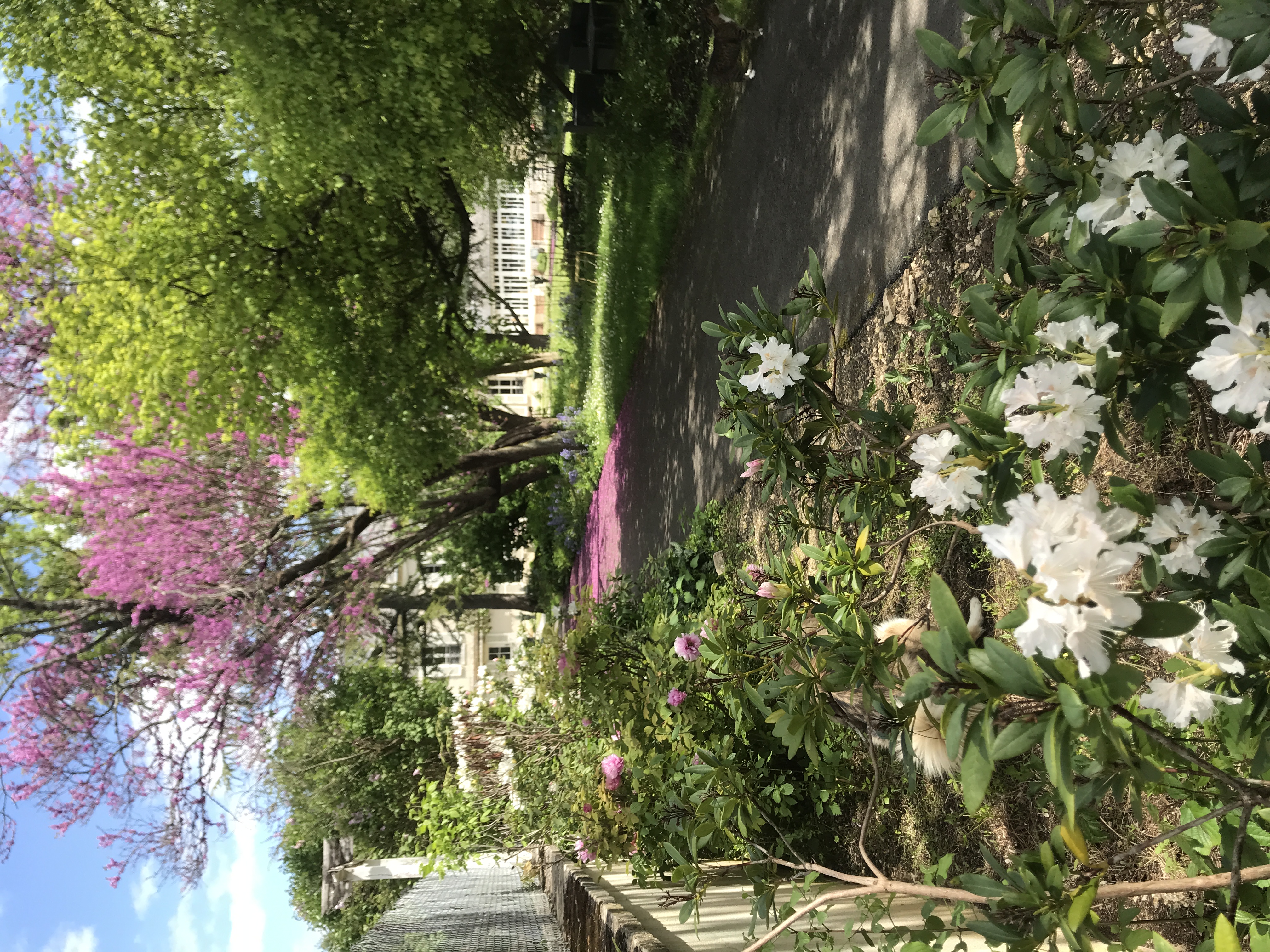 Le Parc du Vivier, Saint-Germain-du-Puy - photo 5