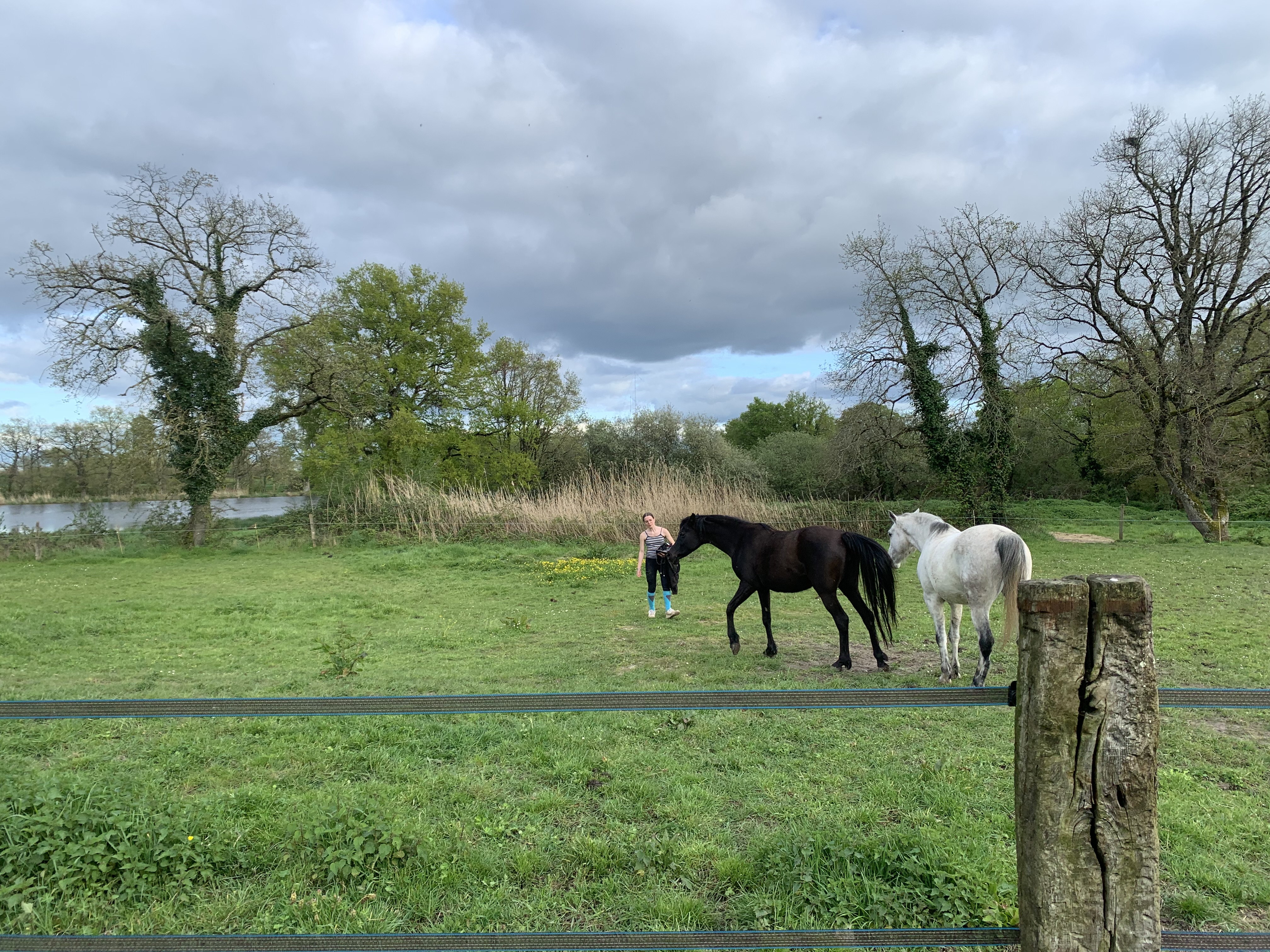 La Brenne à cheval : circuits en marguerite au départ de la ferme des Buttons, Rosnay - photo 3