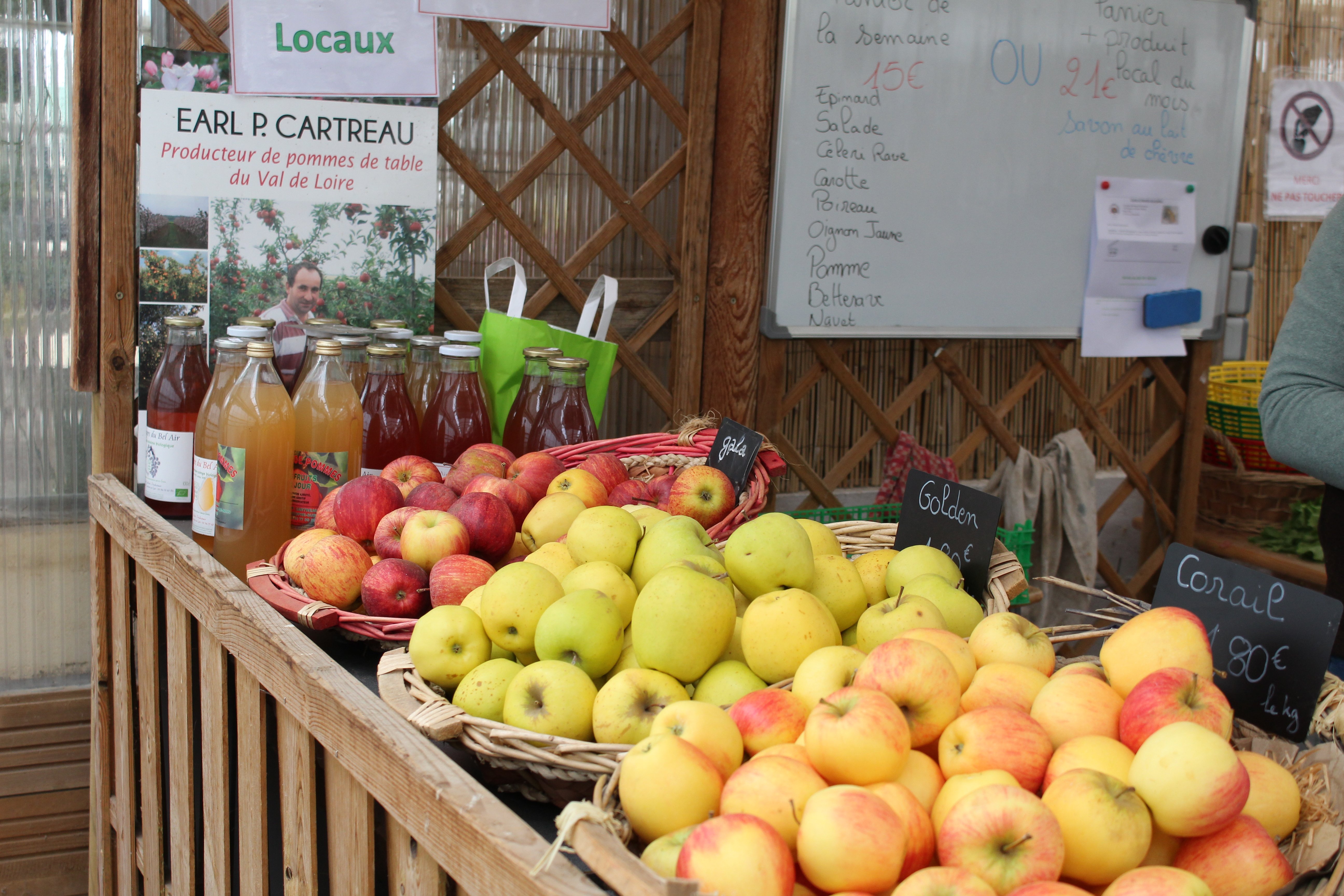 Aux Serres Hermitoises - photo 3