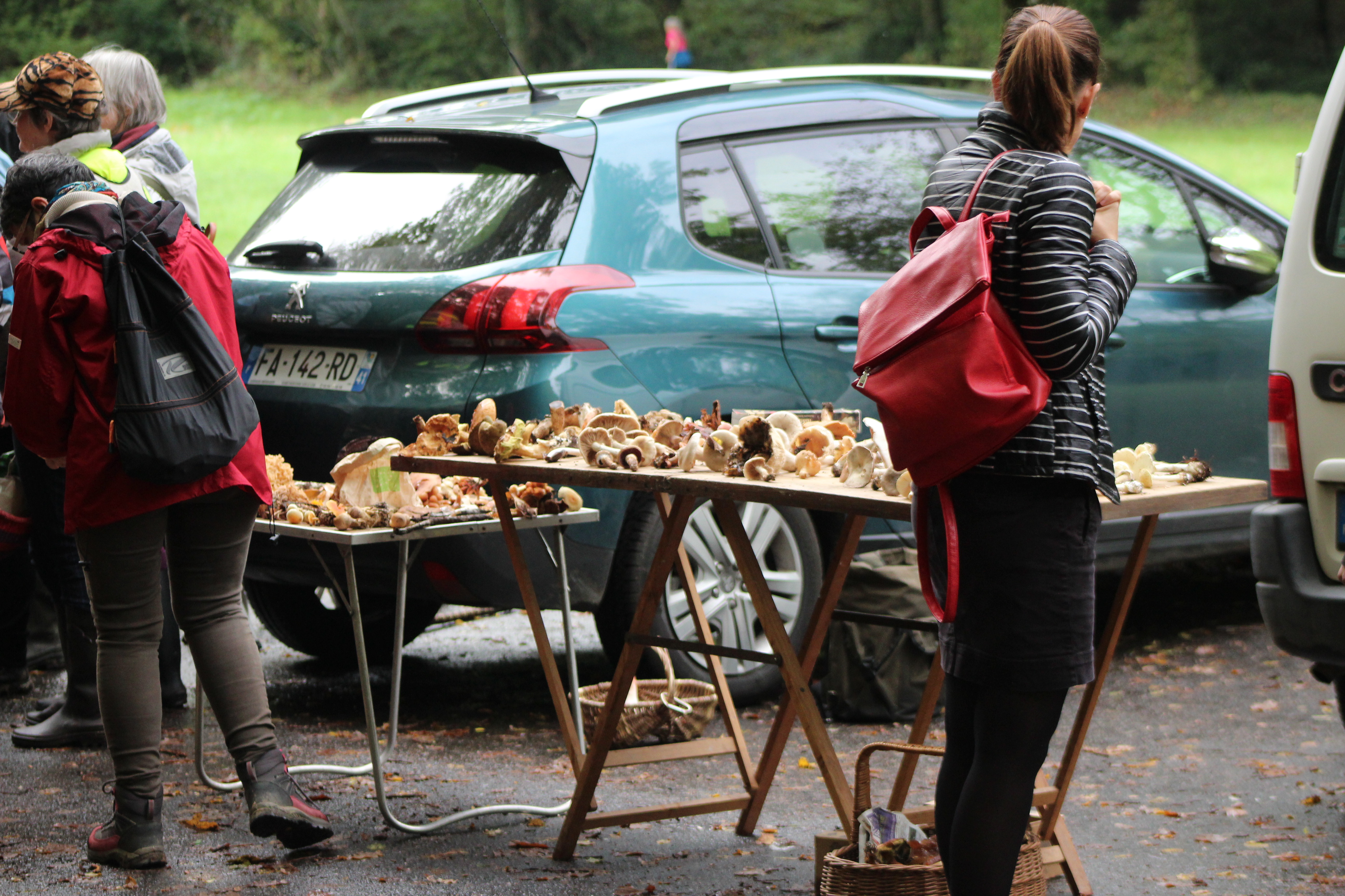 Sorties découverte en vallée du Loir