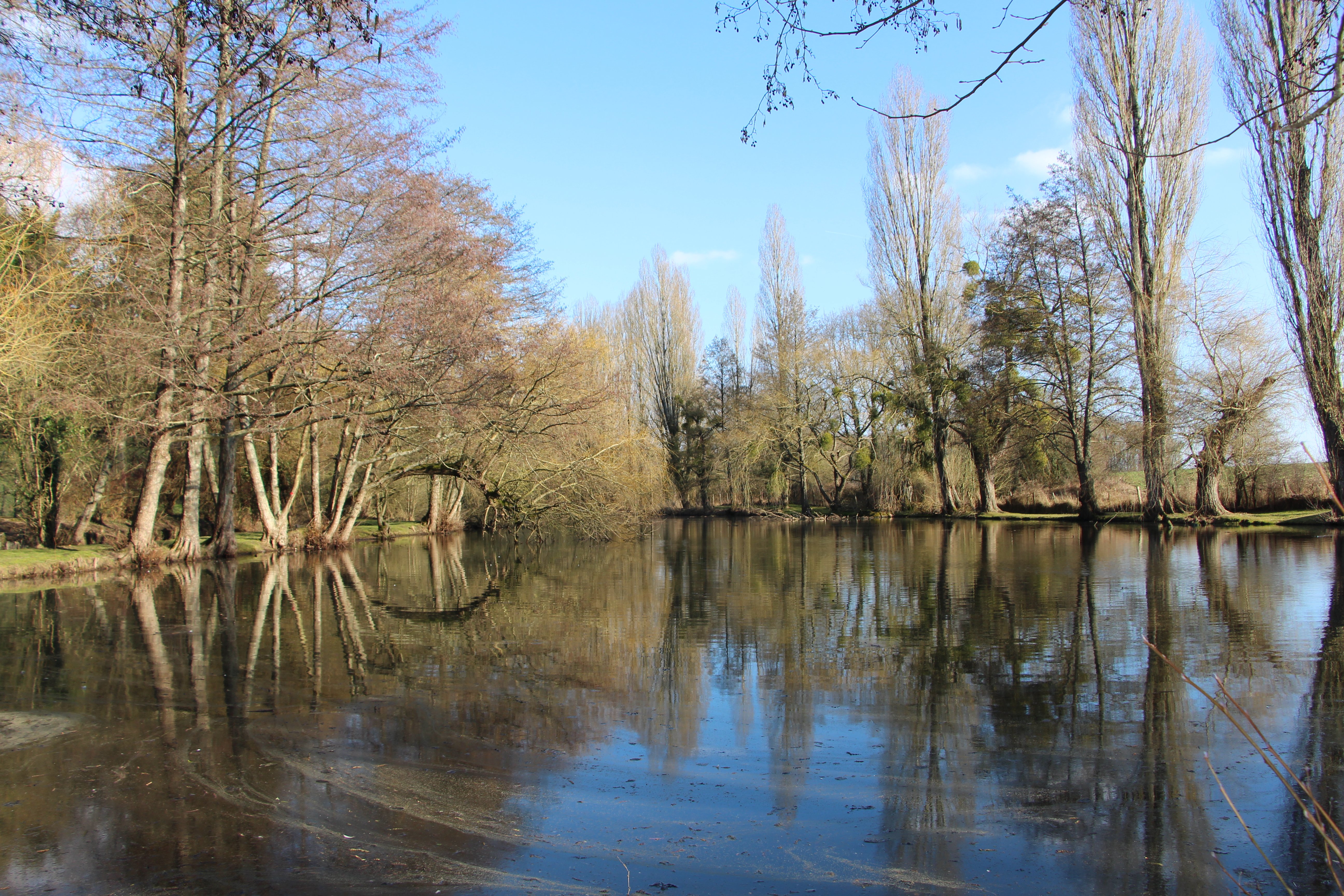 Chambre d'hôtes La Rozelière, Rozoy-le-Vieil - photo 18