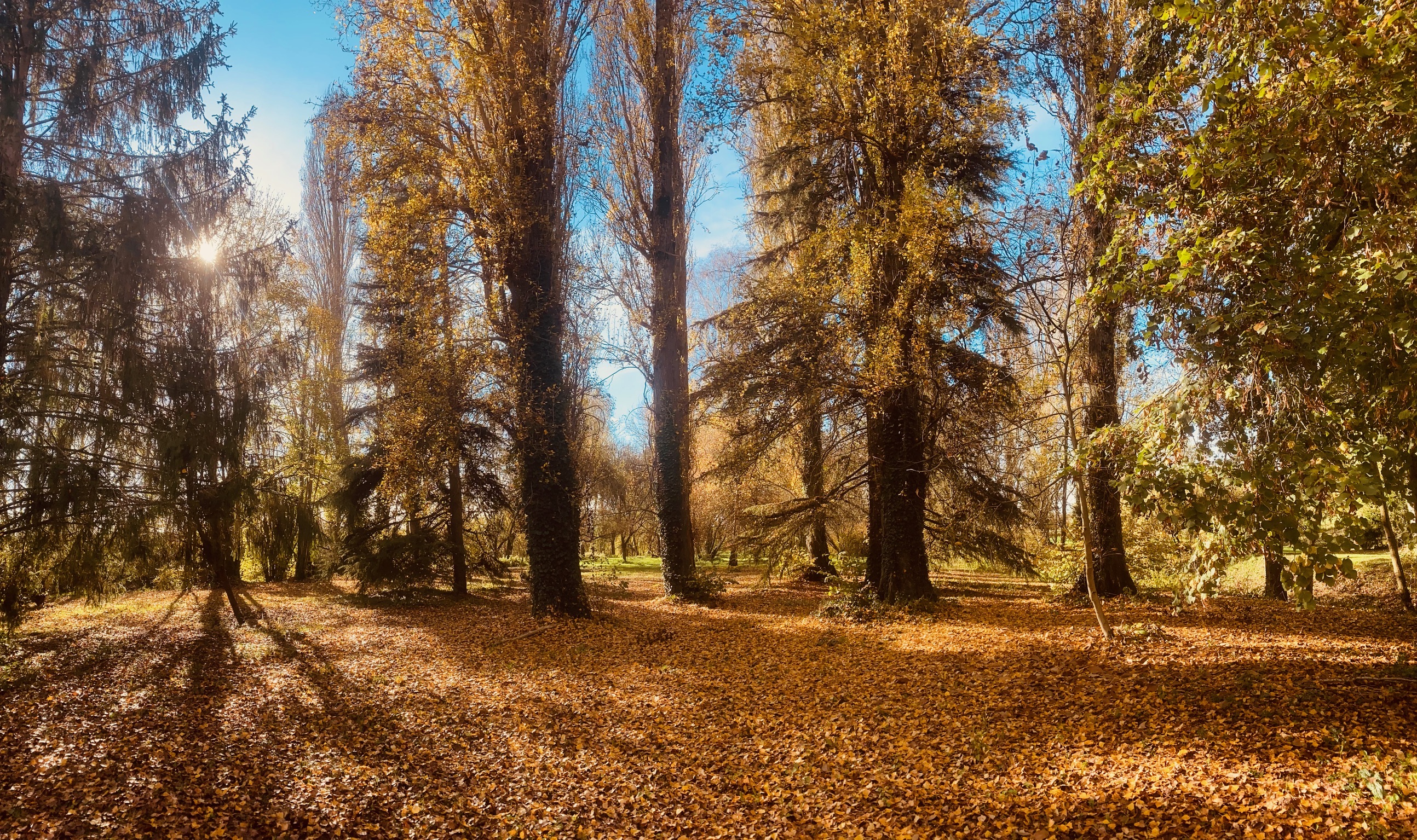 Domaine du moulin de la plaine, Troo - photo 6