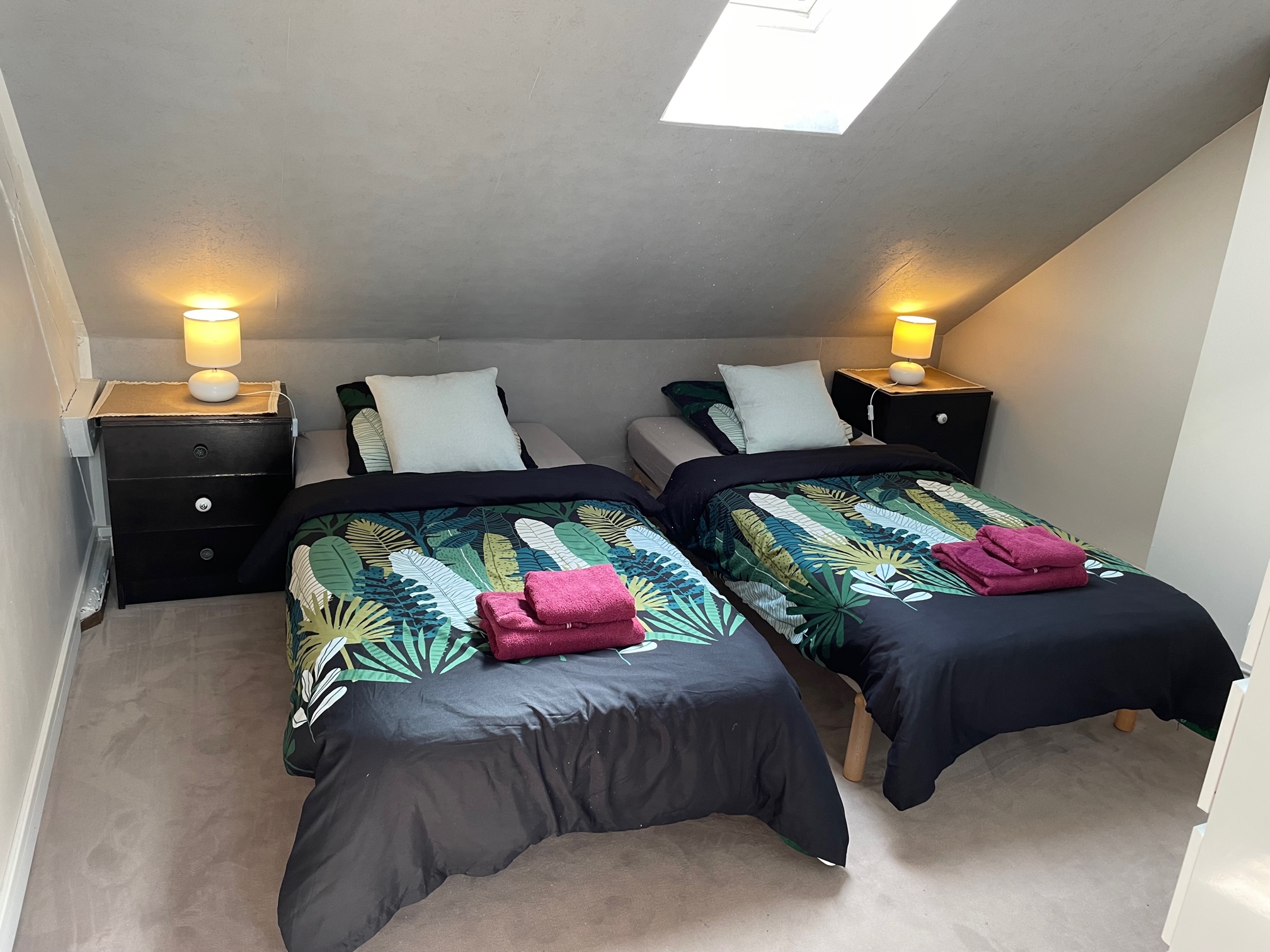 Les cimes de beauval - Clos des 3 Provinces, Noyers-sur-Cher - photo 6