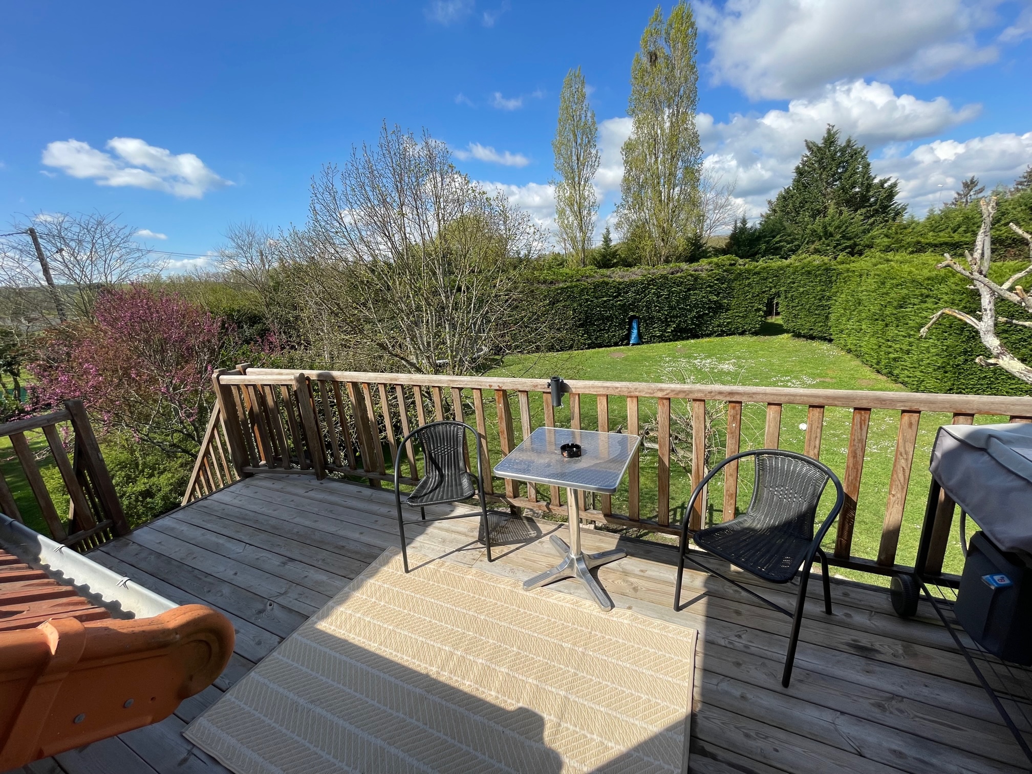 Les cimes de beauval - Clos des 3 Provinces, Noyers-sur-Cher - photo 4