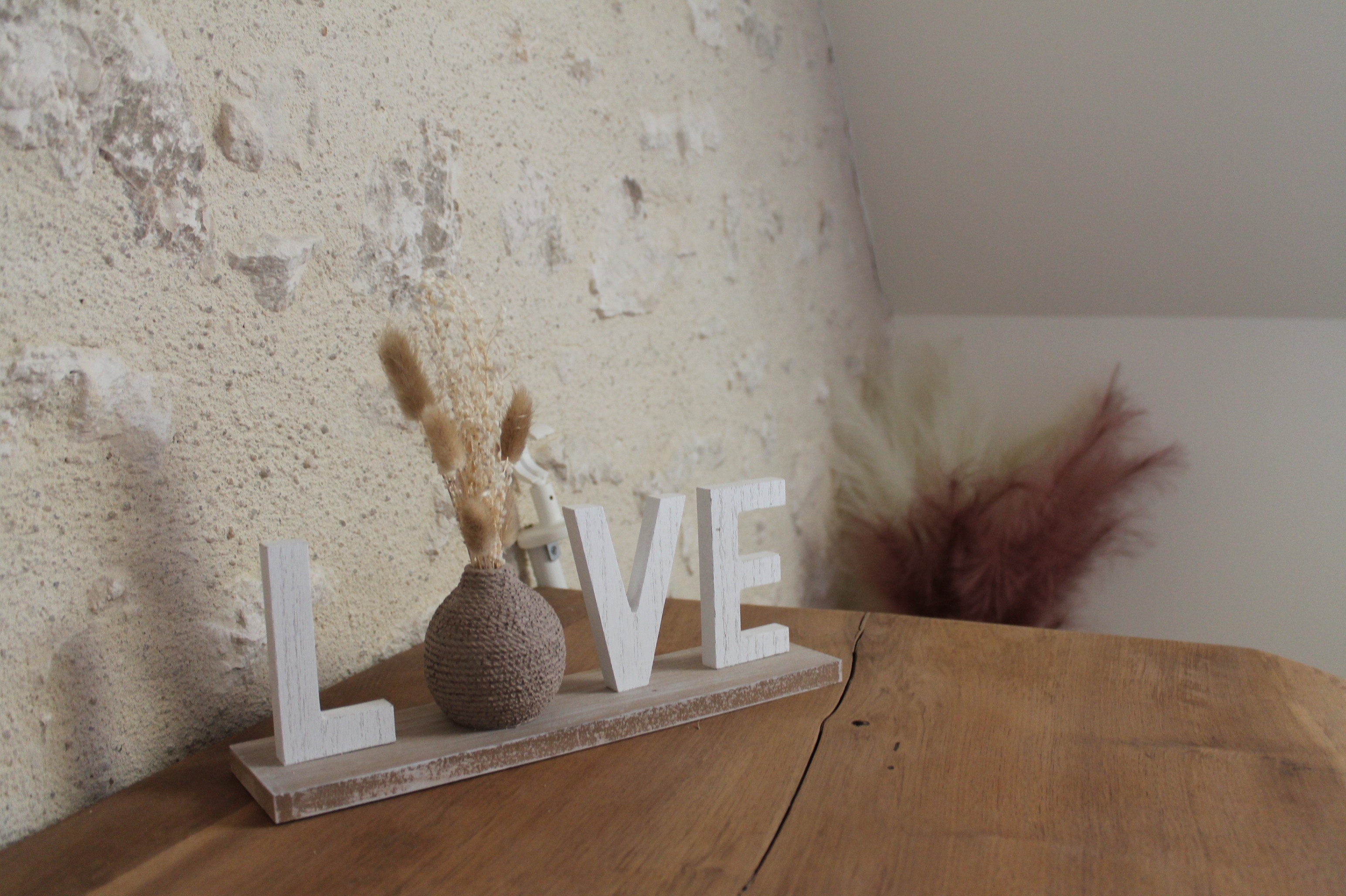 Les lilas, Chémery - photo 15