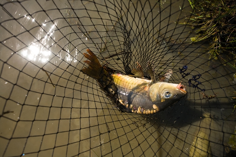 Pêche à l'étang communal de Paudy