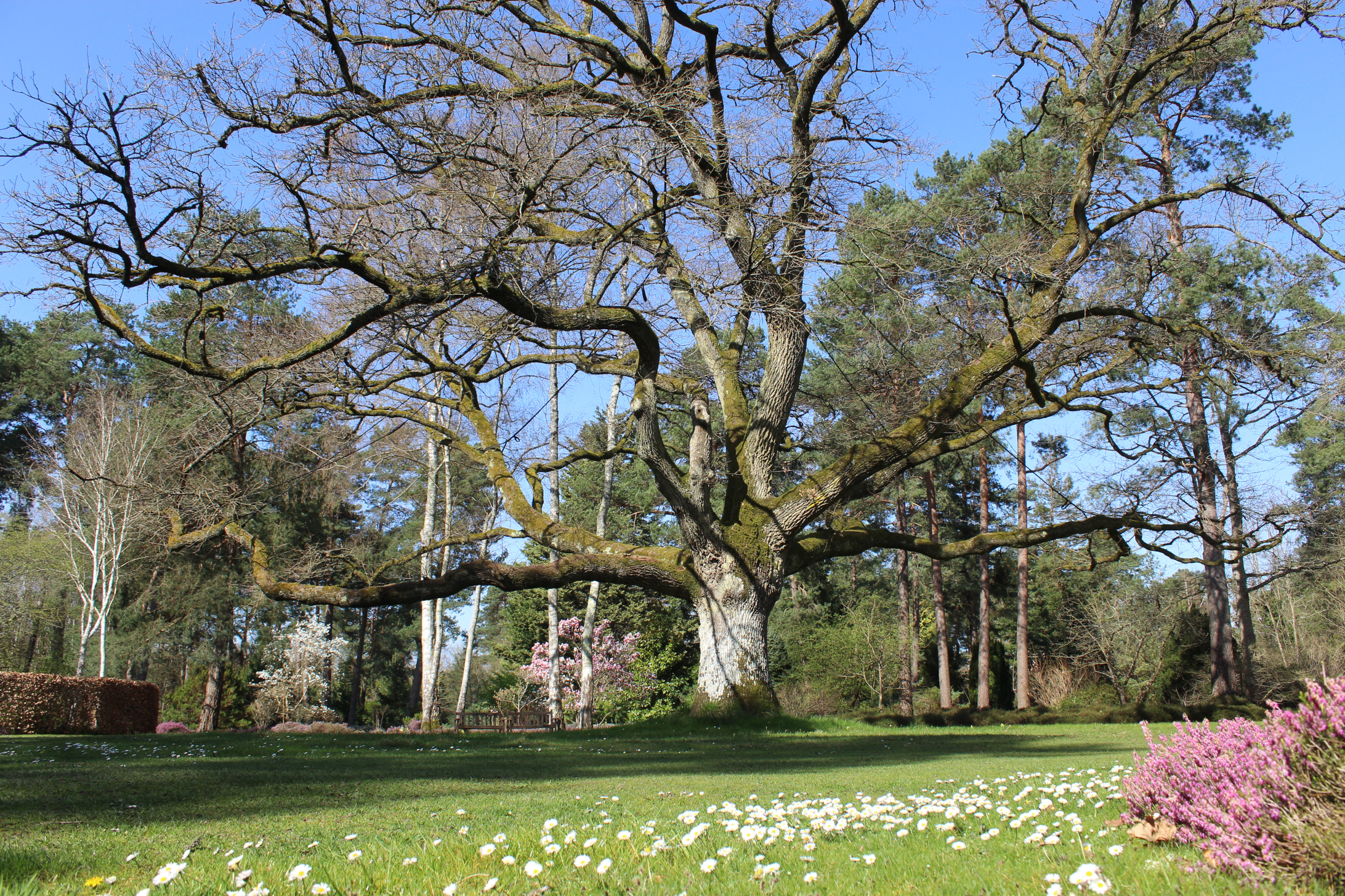 Bienvenue à l'Arboretum - photo 2