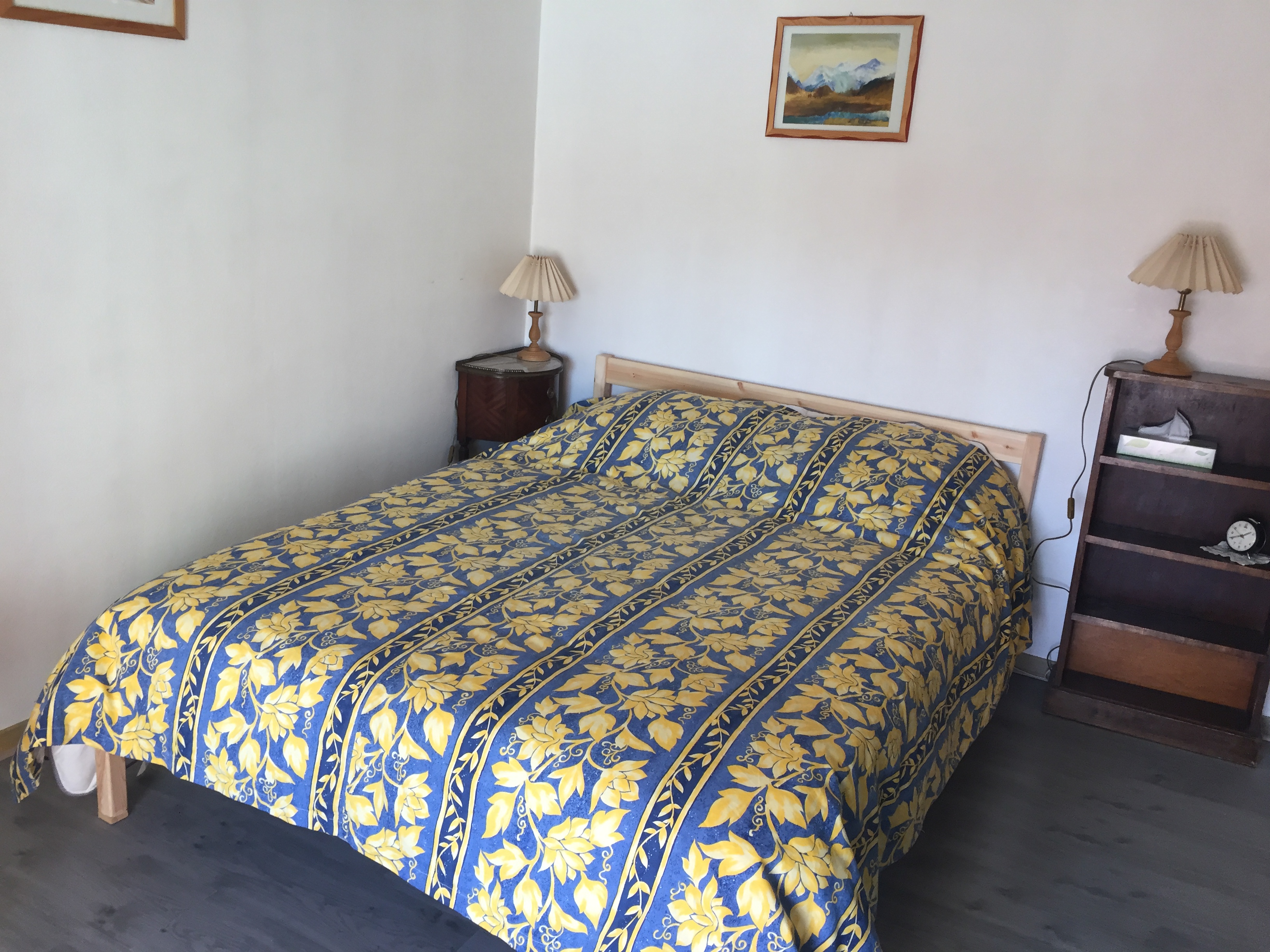 Les Myosotis en Berry, Celon - photo 2