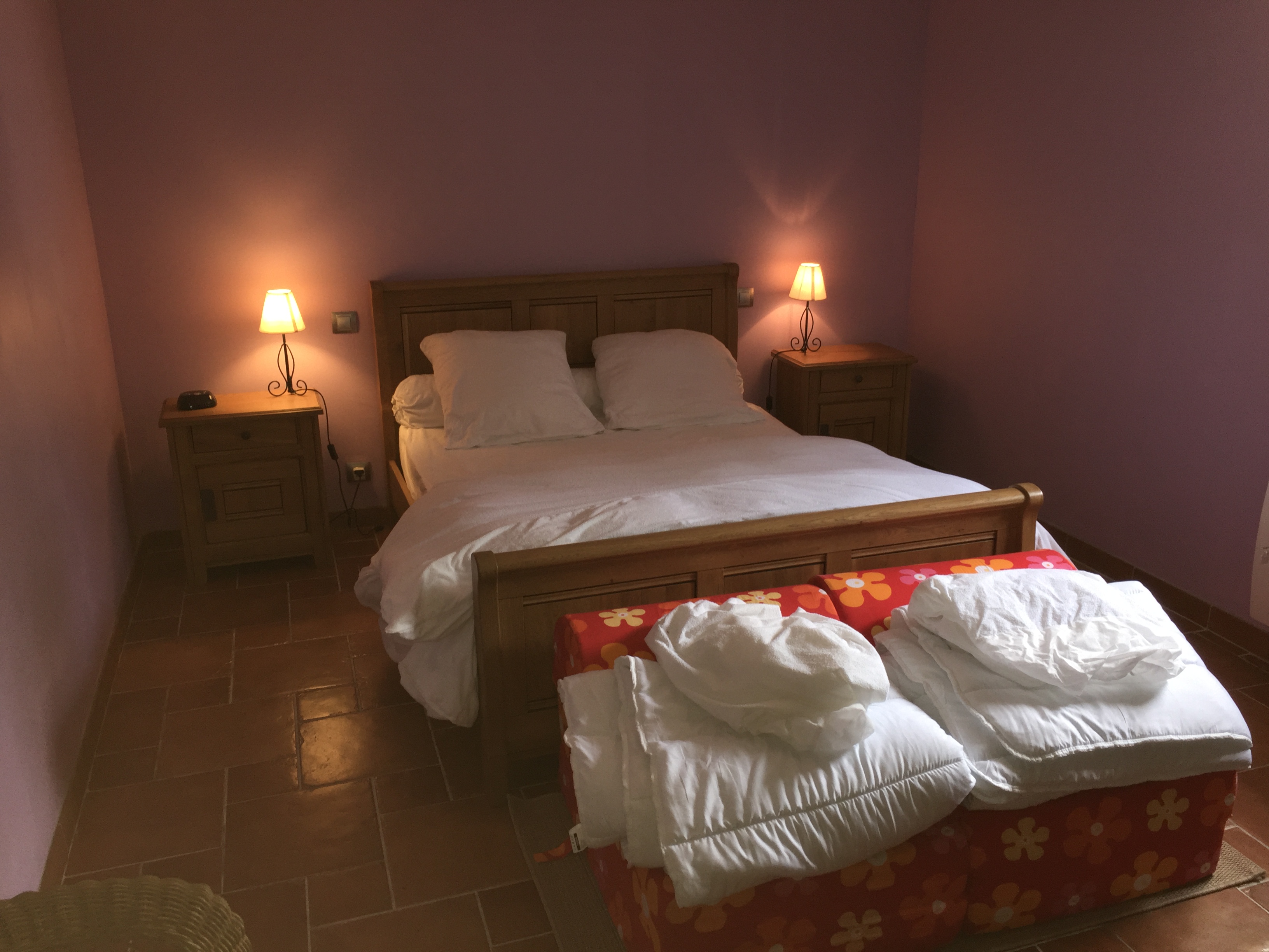 Les Ilons, Saint-Michel-en-Brenne - photo 6