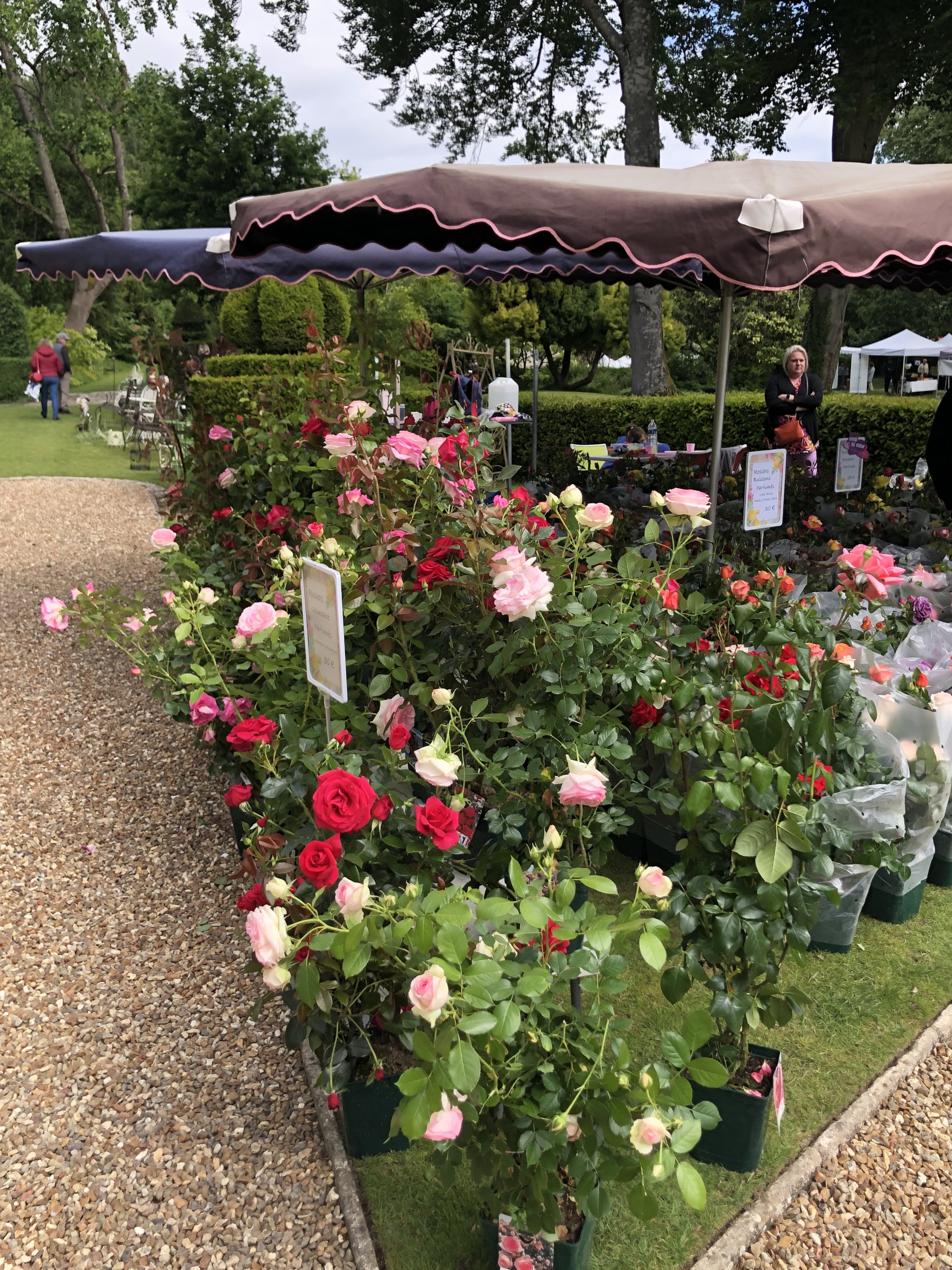 Marché aux plantes et produits du terroir, Sasnières