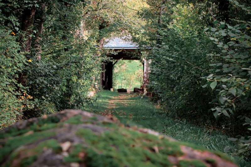 Pont de bois couvert, Le Pont-Chrétien-Chabenet - photo 4