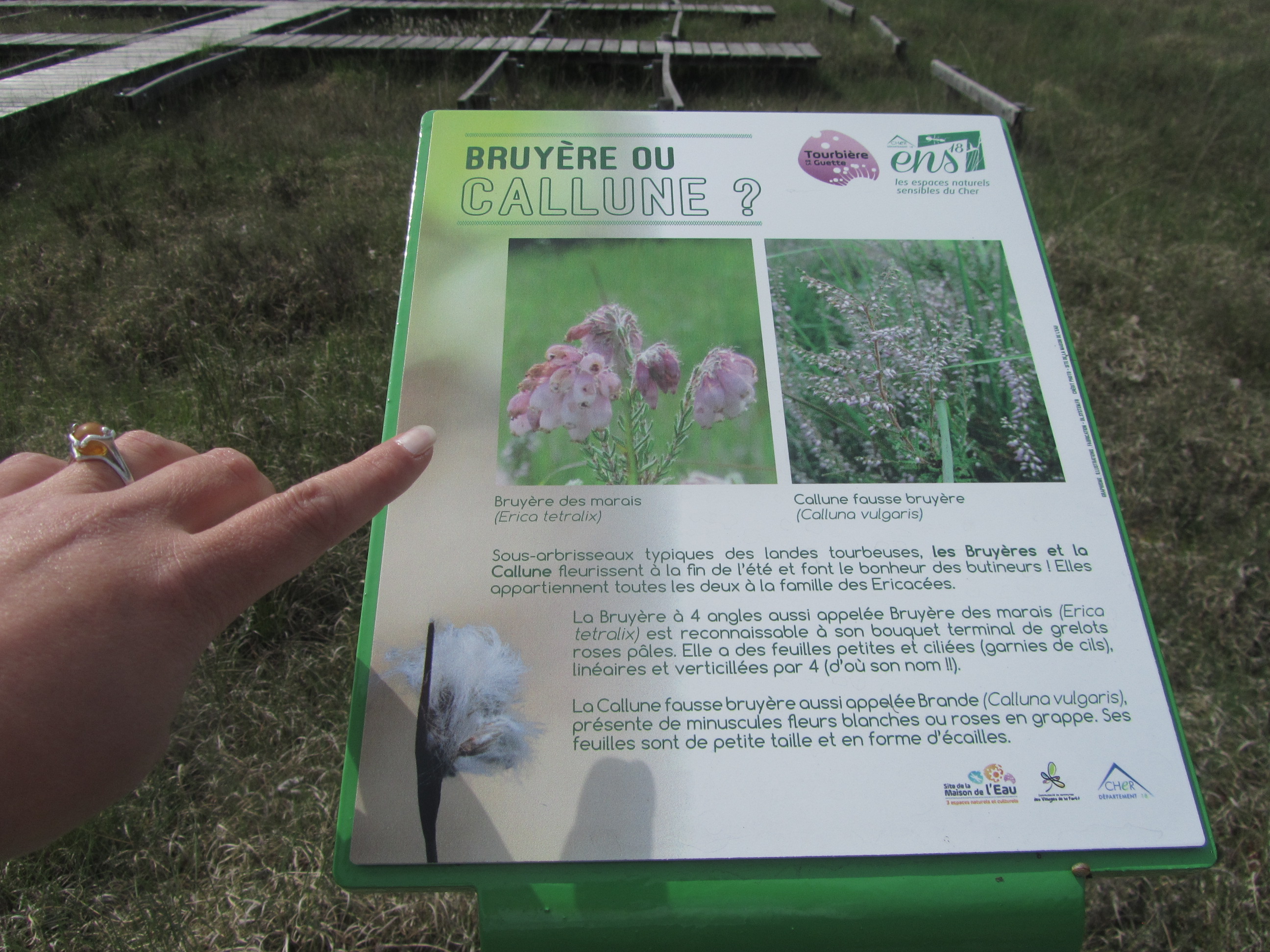 Site de la Maison de l'Eau, Neuvy-sur-Barangeon - photo 5