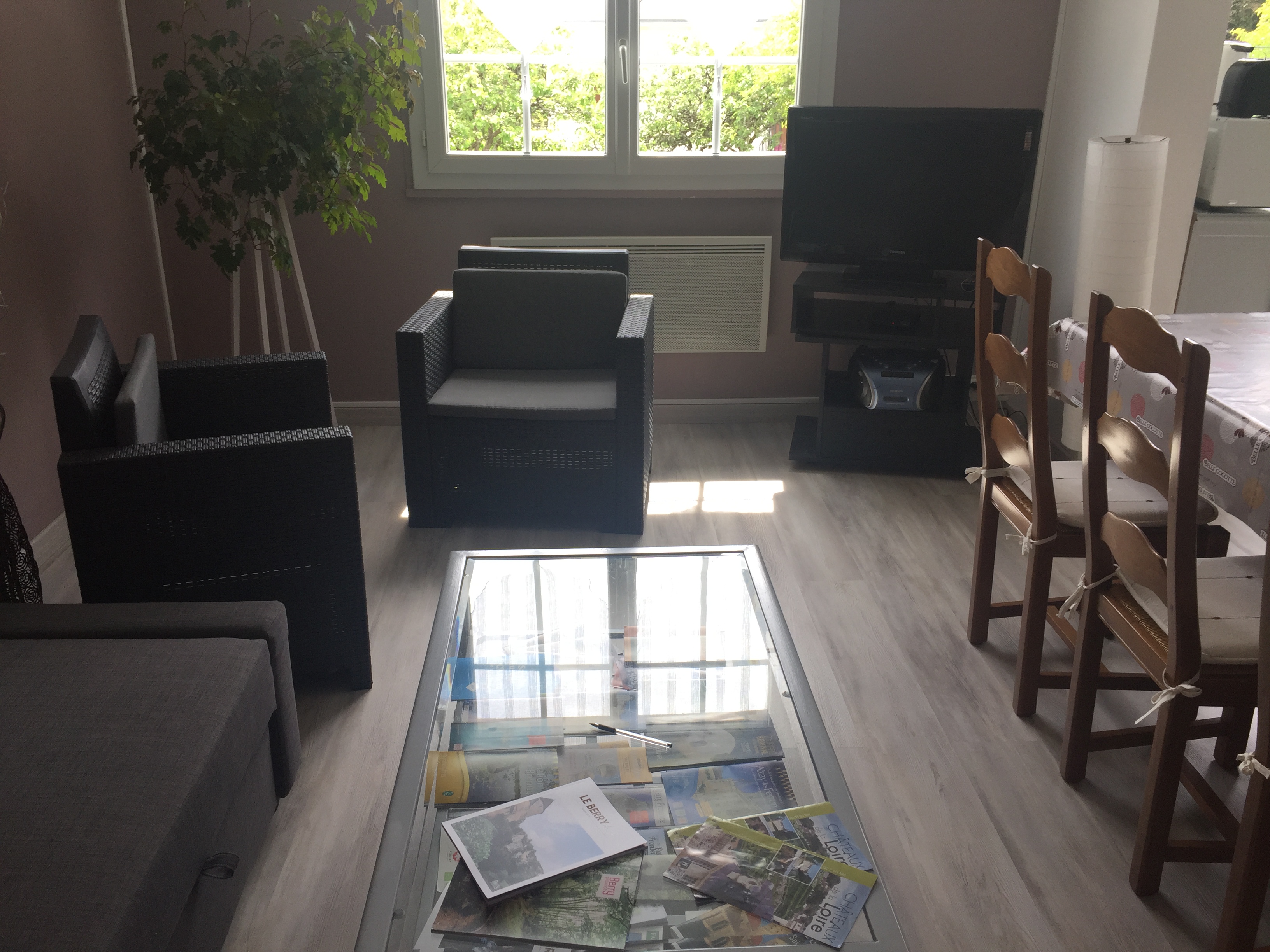 Meublé de Tourisme, Levroux - photo 2