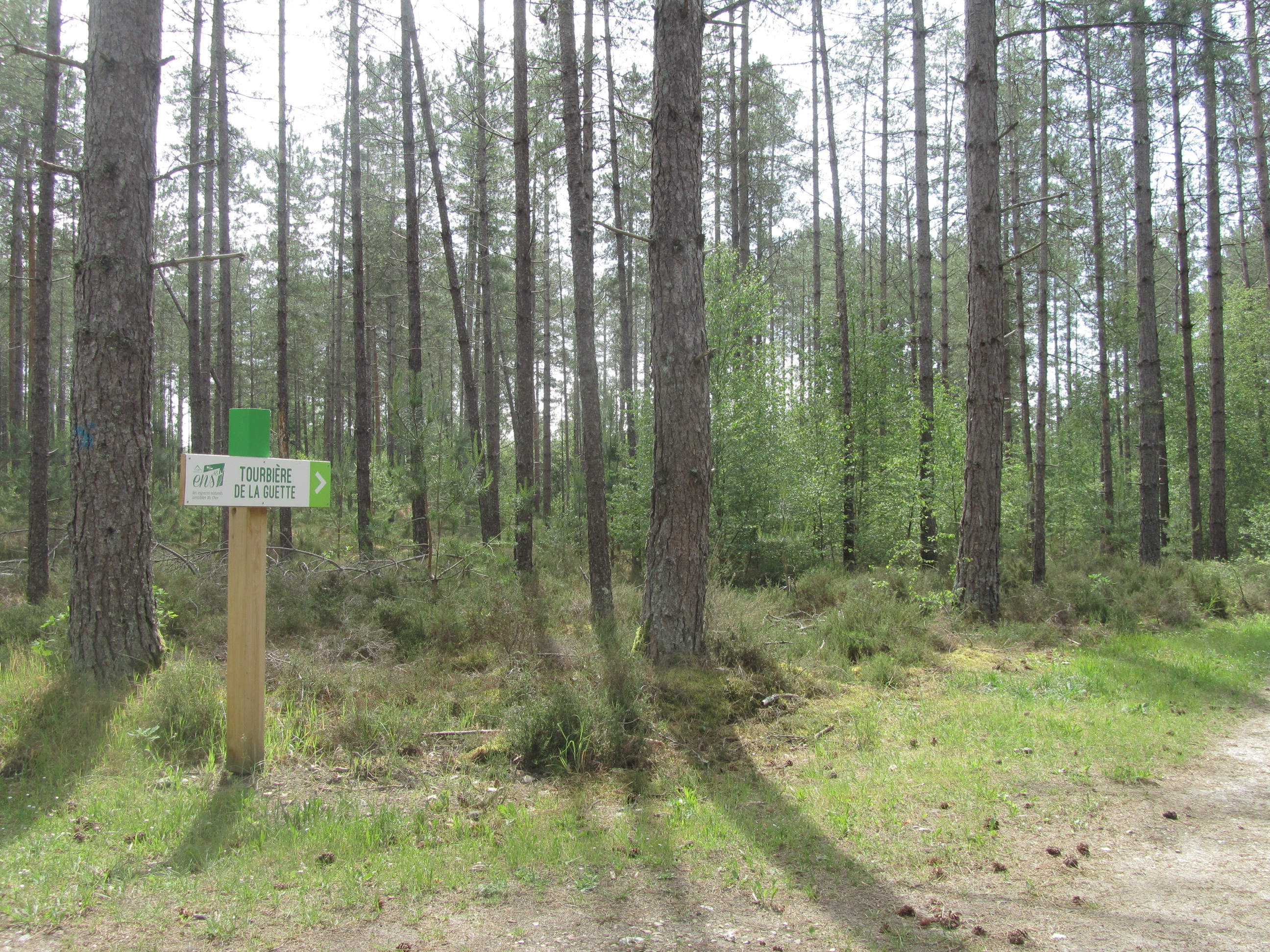 Site de la Maison de l'Eau, Neuvy-sur-Barangeon - photo 4