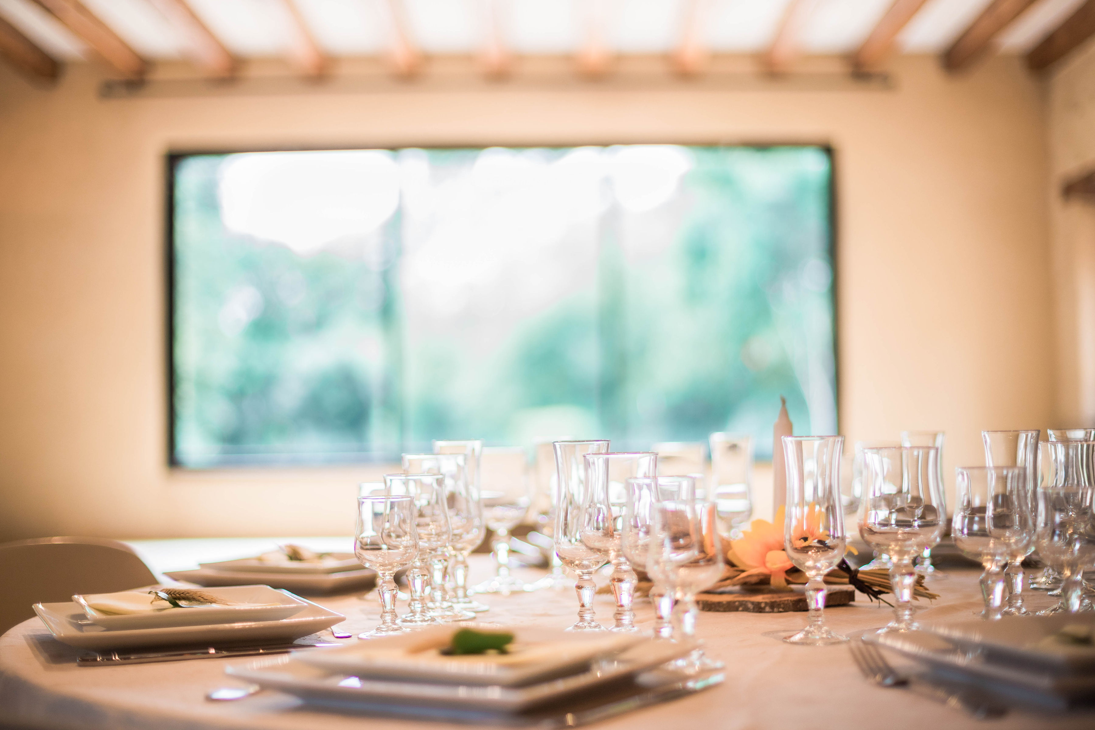 Domaine de Boisvinet, Le Plessis-Dorin - photo 18