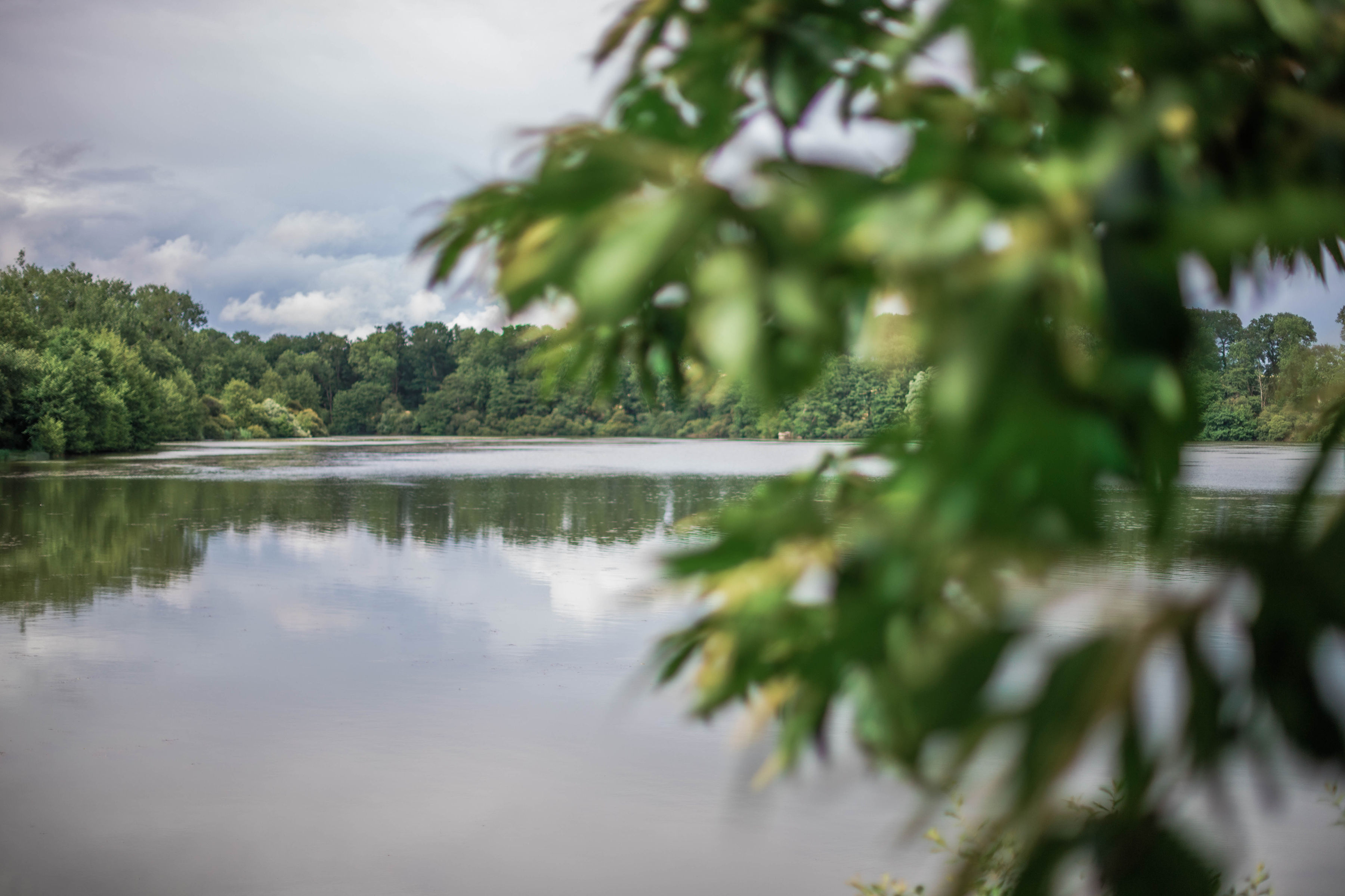 Domaine de Boisvinet, Le Plessis-Dorin - photo 21