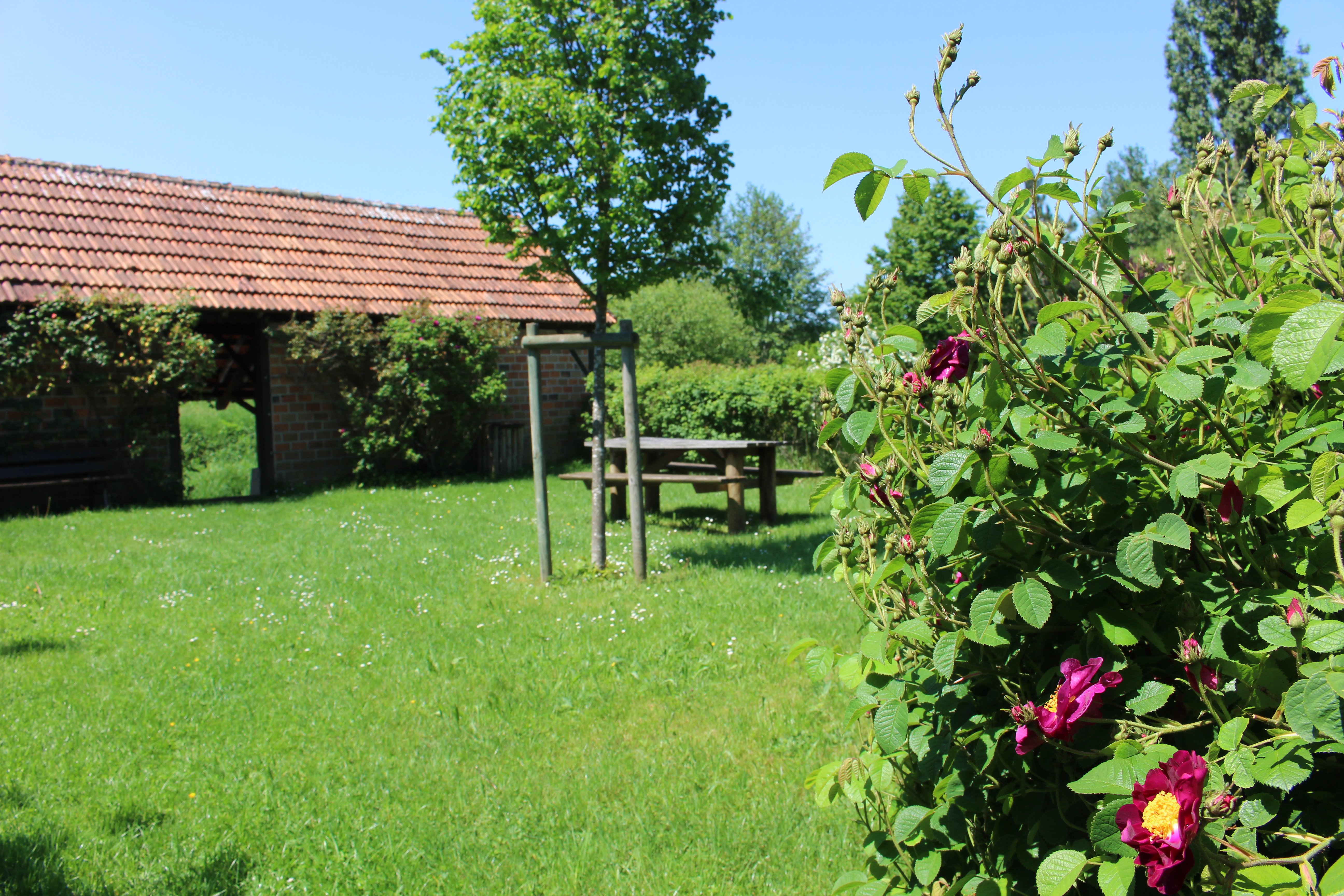 Aire de pique-nique au lavoir de Courcelles-le-Roi