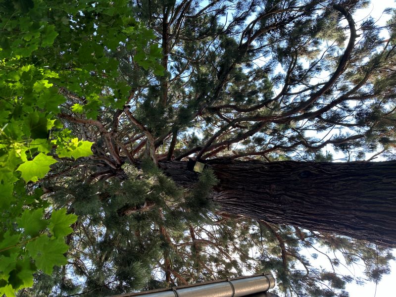 Casa Romana, La Châtre - photo 4