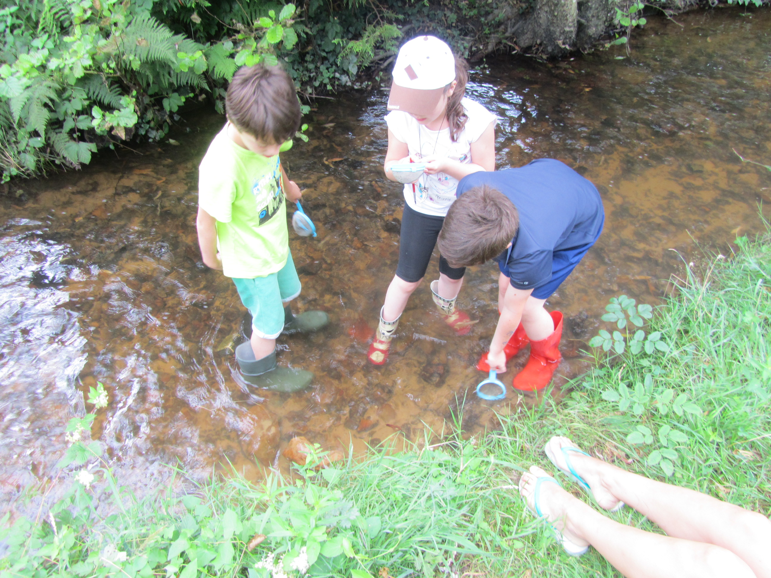 Site de la Maison de l'Eau, Neuvy-sur-Barangeon - photo 7