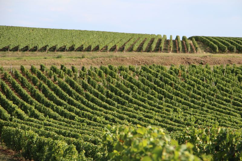 Itinéraire 6 - Faites sauter les bouchons en Champagne berrichonne à moto, Issoudun
