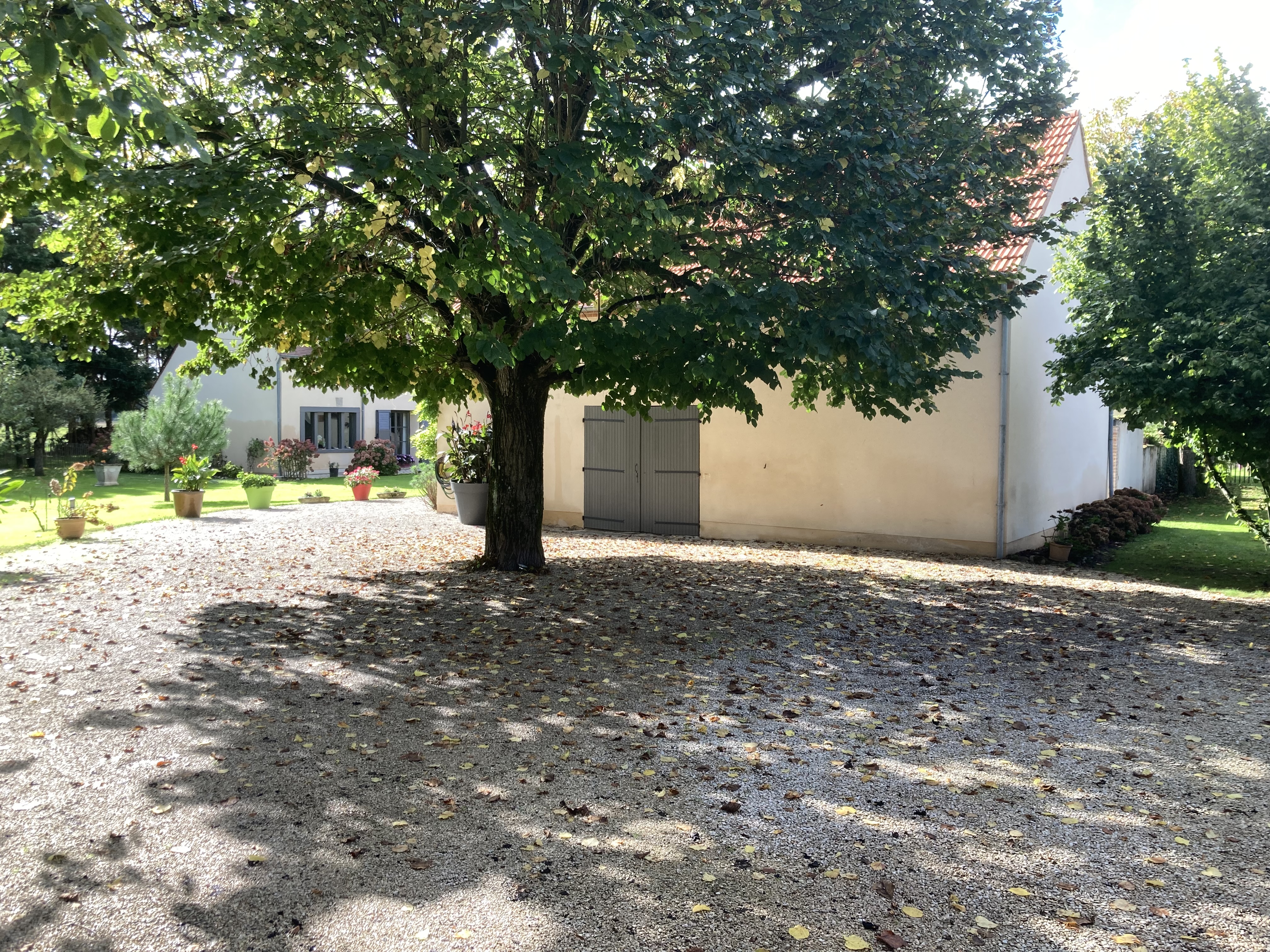 La Couarderie, Tigy - photo 5