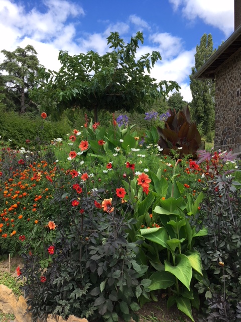 La Maison du Jardinier, Gargilesse-Dampierre - photo 8