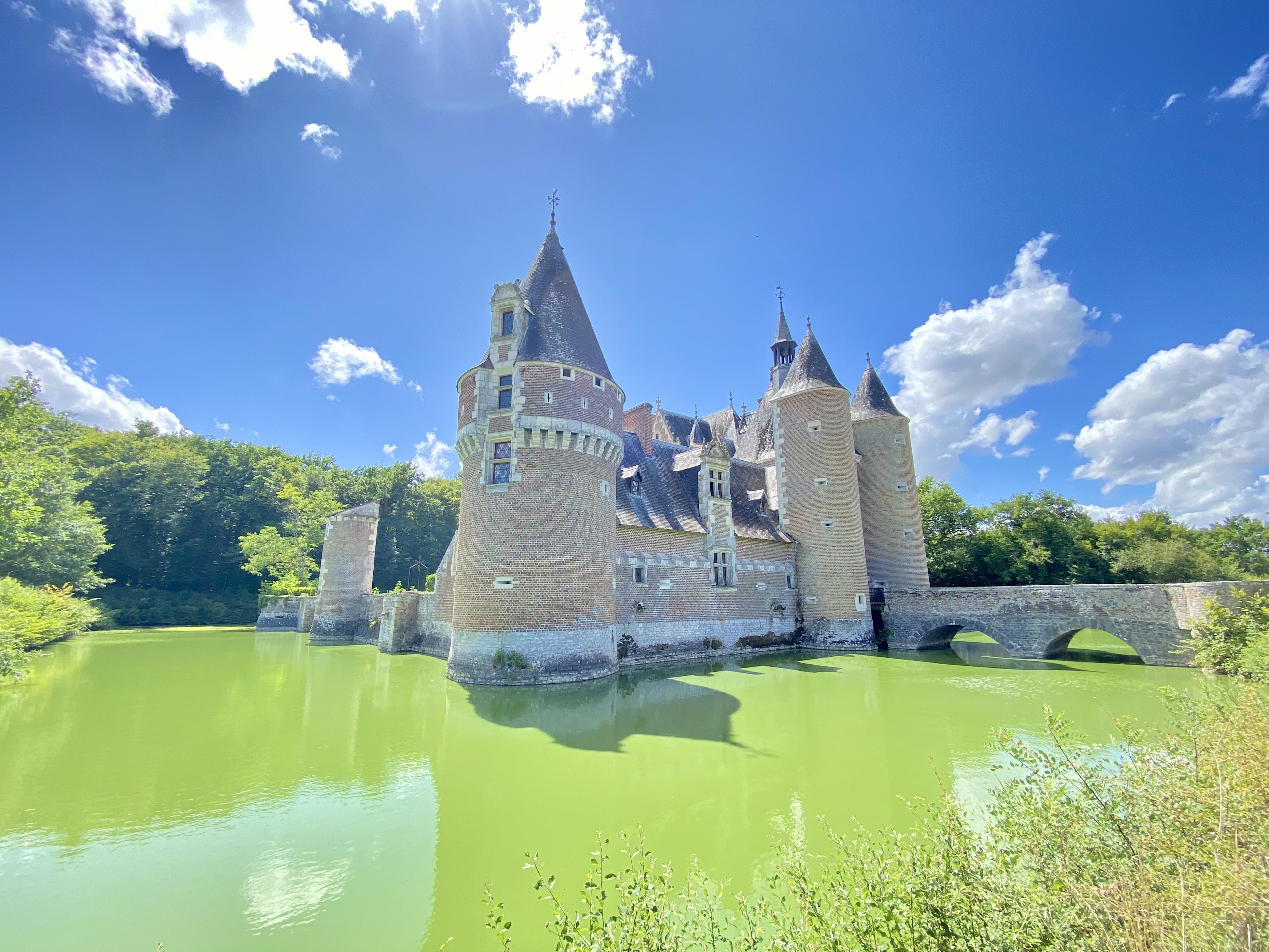 Château du Moulin, Lassay-sur-Croisne - photo 12