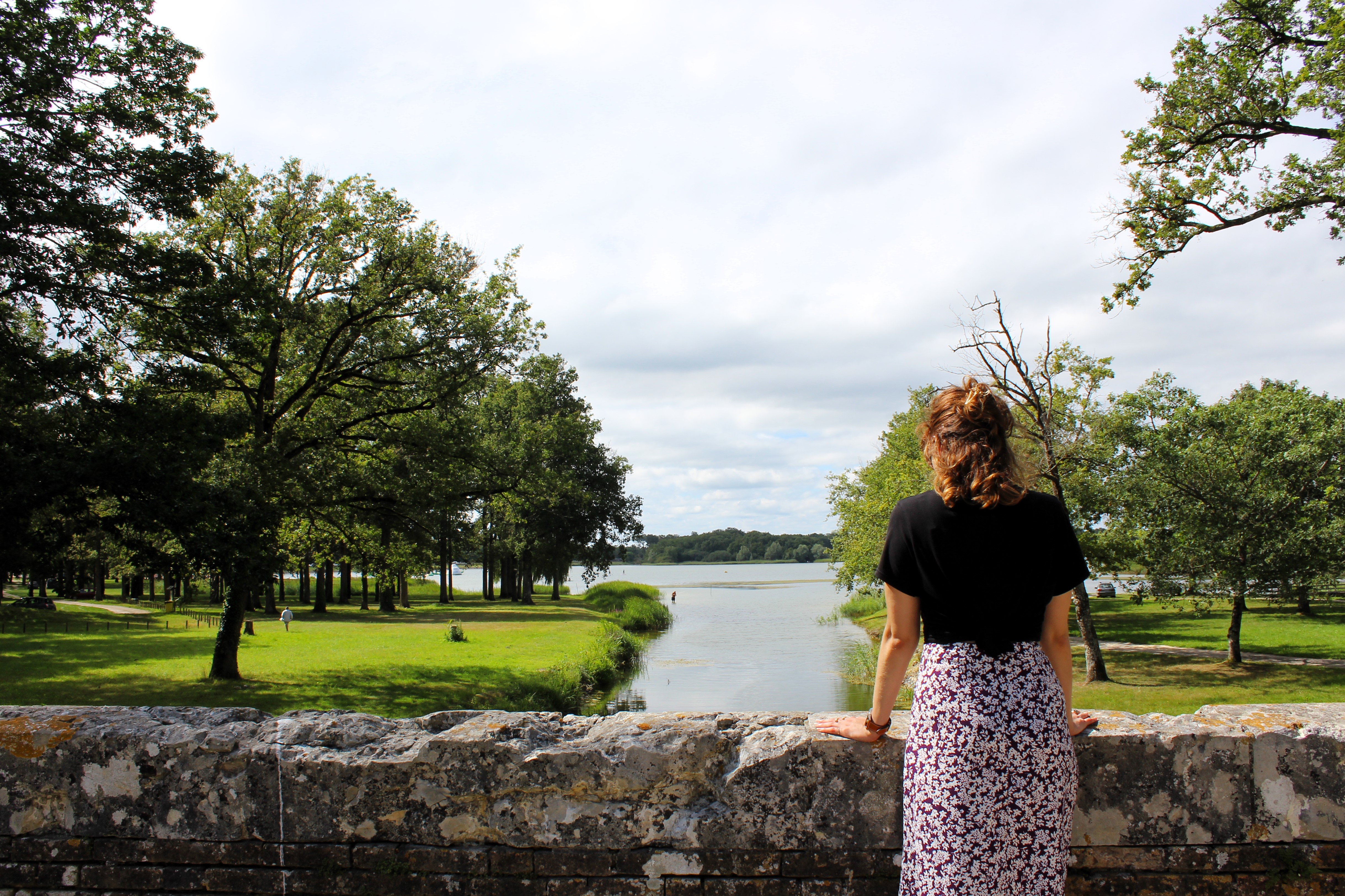 Escapades nature : Vues sur la roselière et sa héronnière