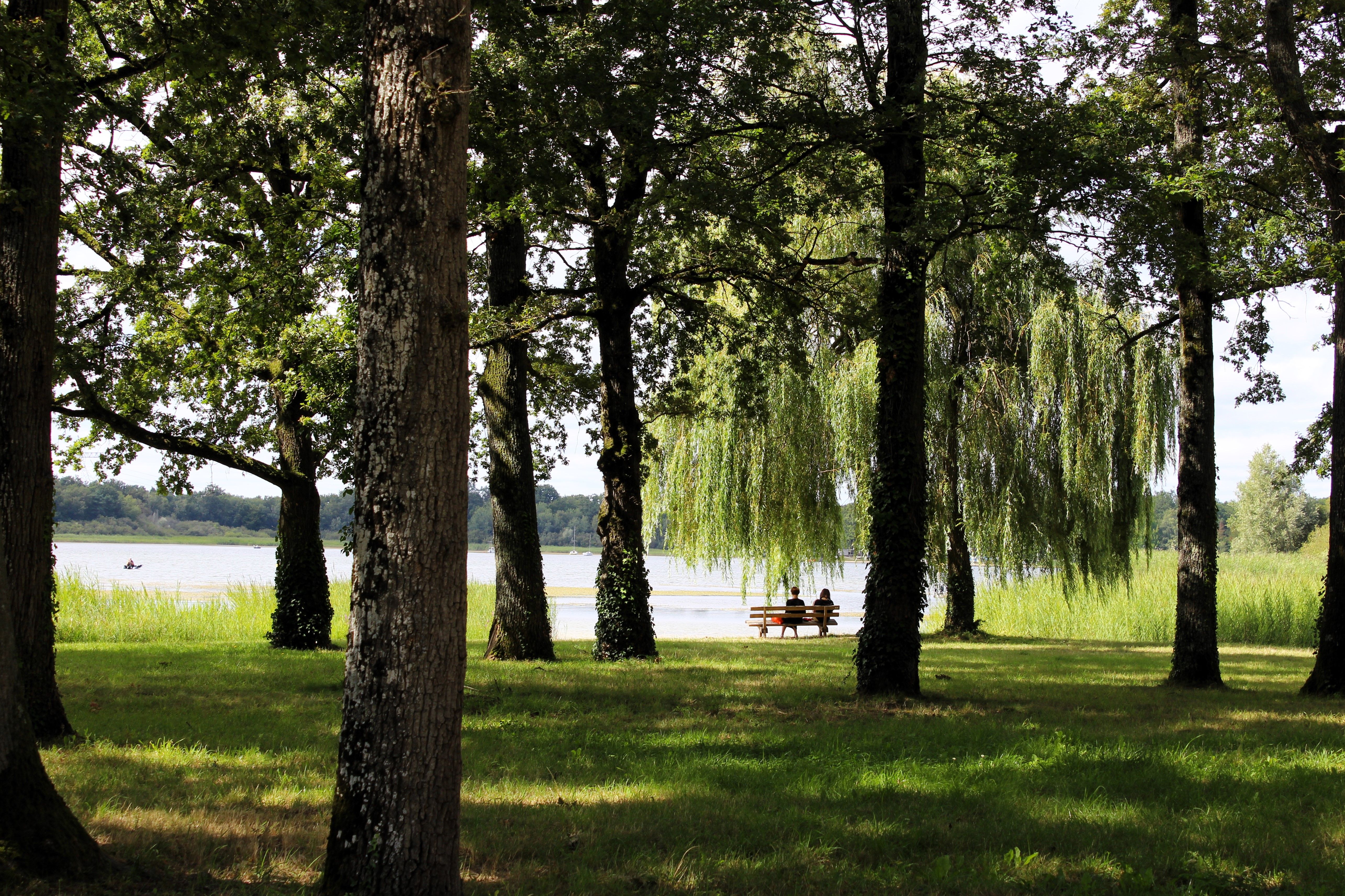 Escapades nature : mardi soir au bord de l'eau