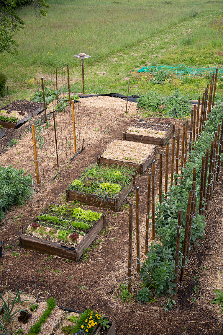 Les 3 Chemins, Saint-Aignan - photo 10