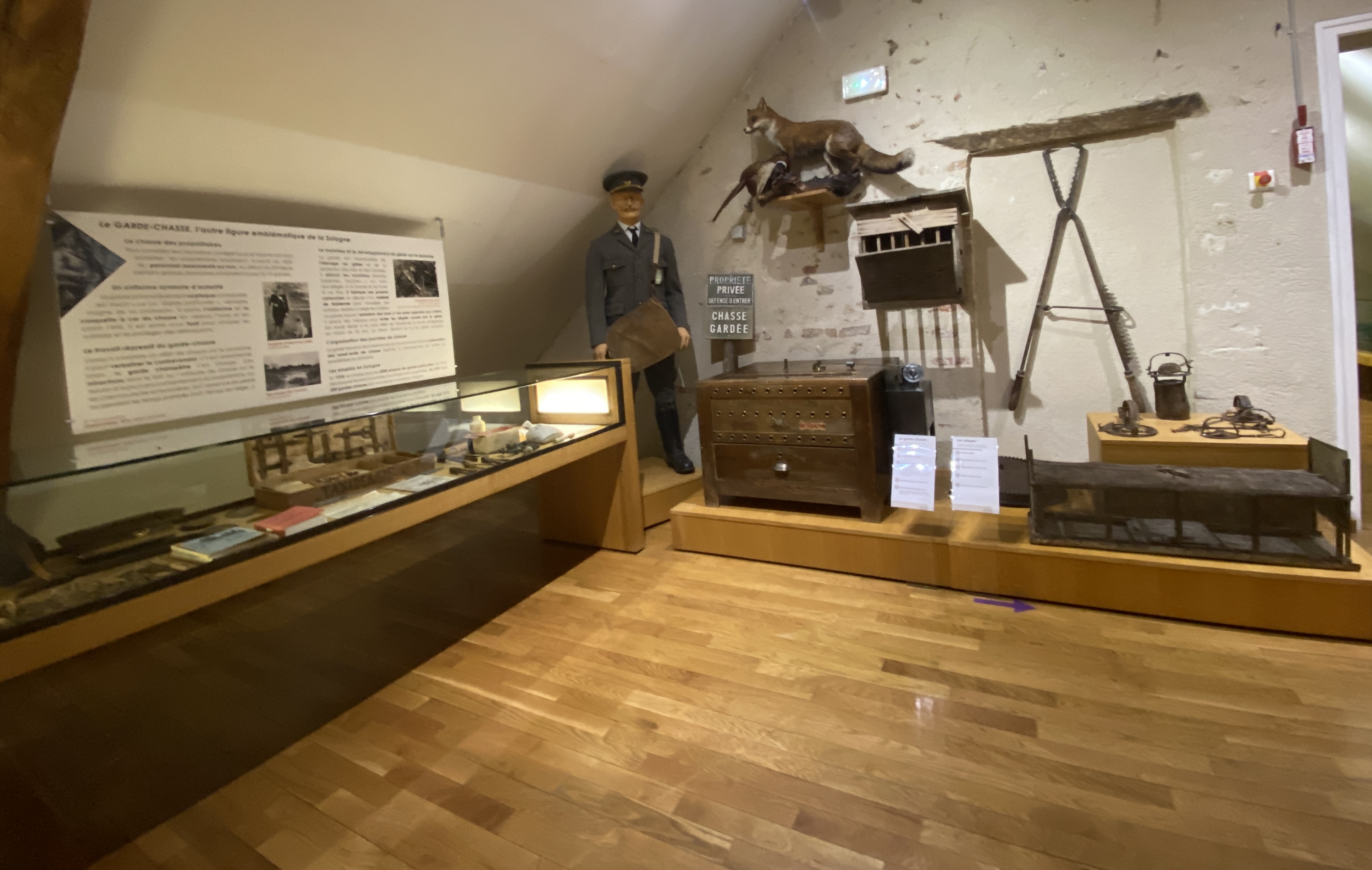 Musée de Sologne, Romorantin-Lanthenay - photo 6